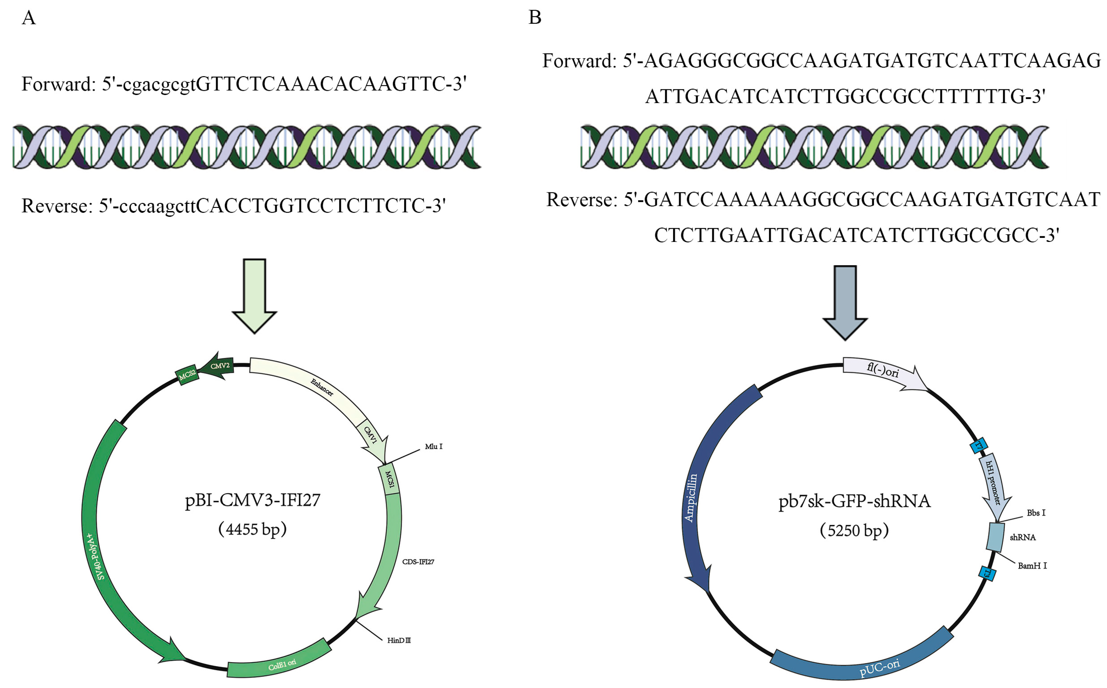 Animals 14 03284 g004