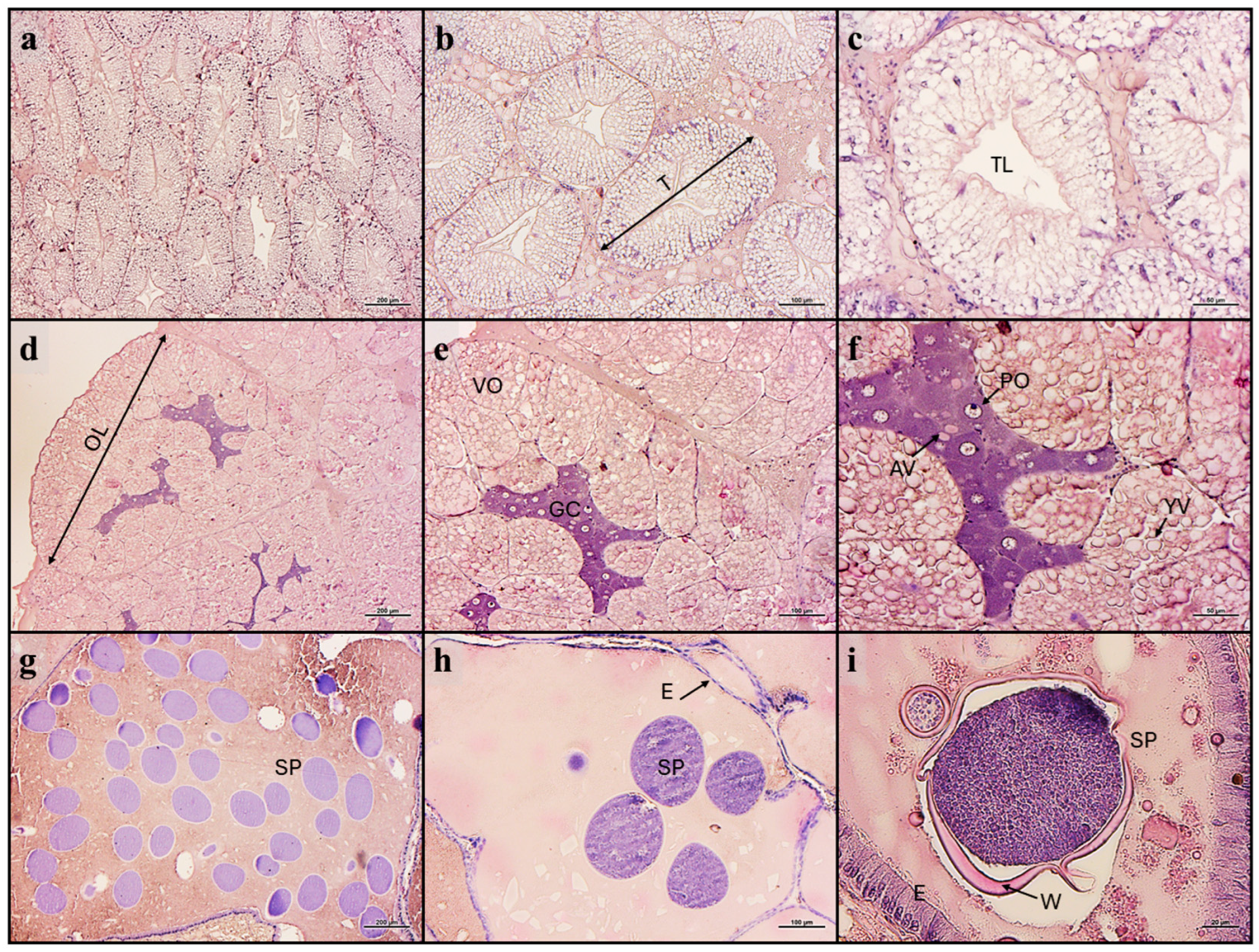 Animals 14 03304 g001