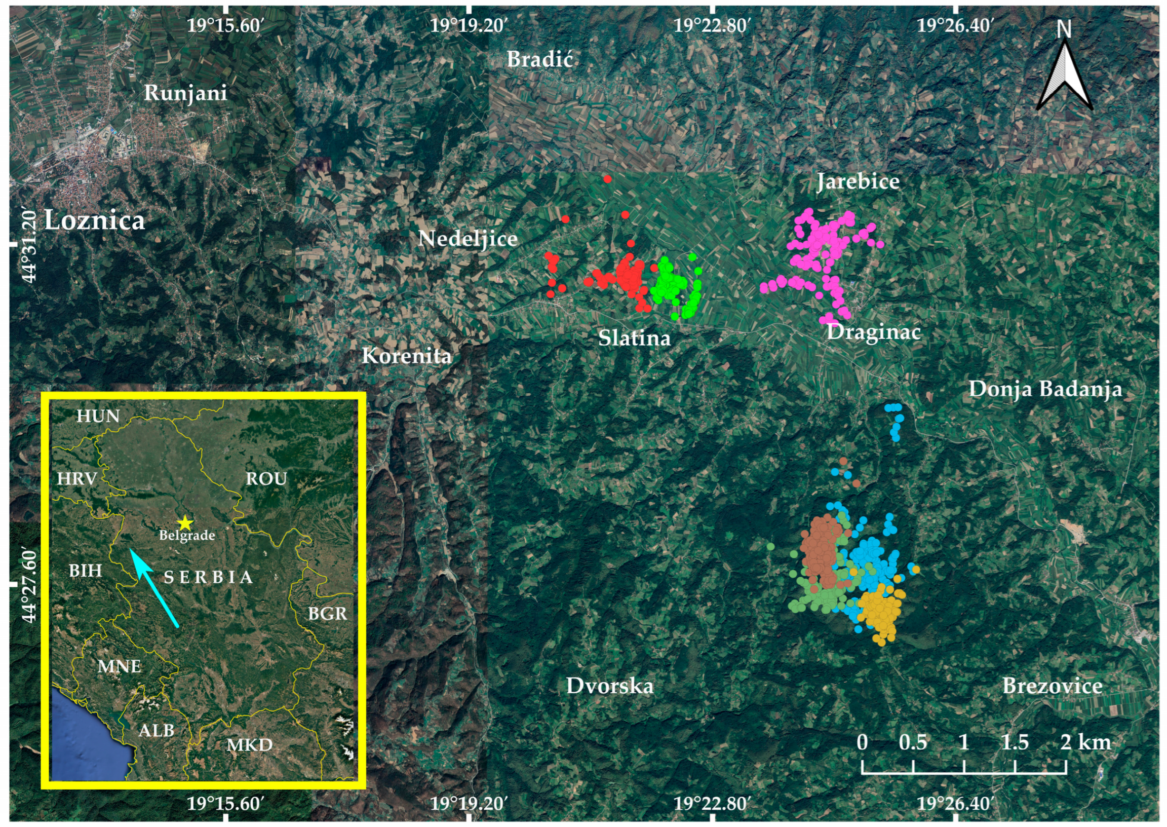 Animals 14 03338 g001