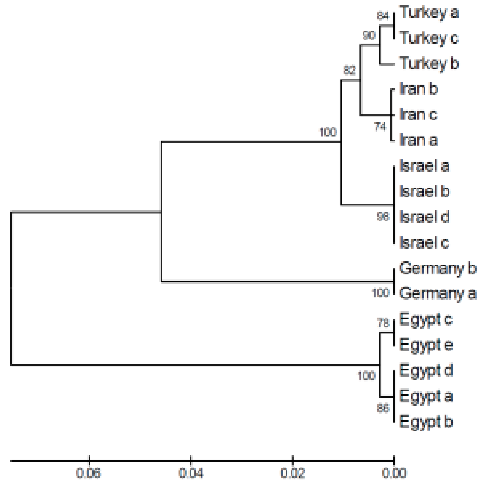 Animals 14 03351 g003