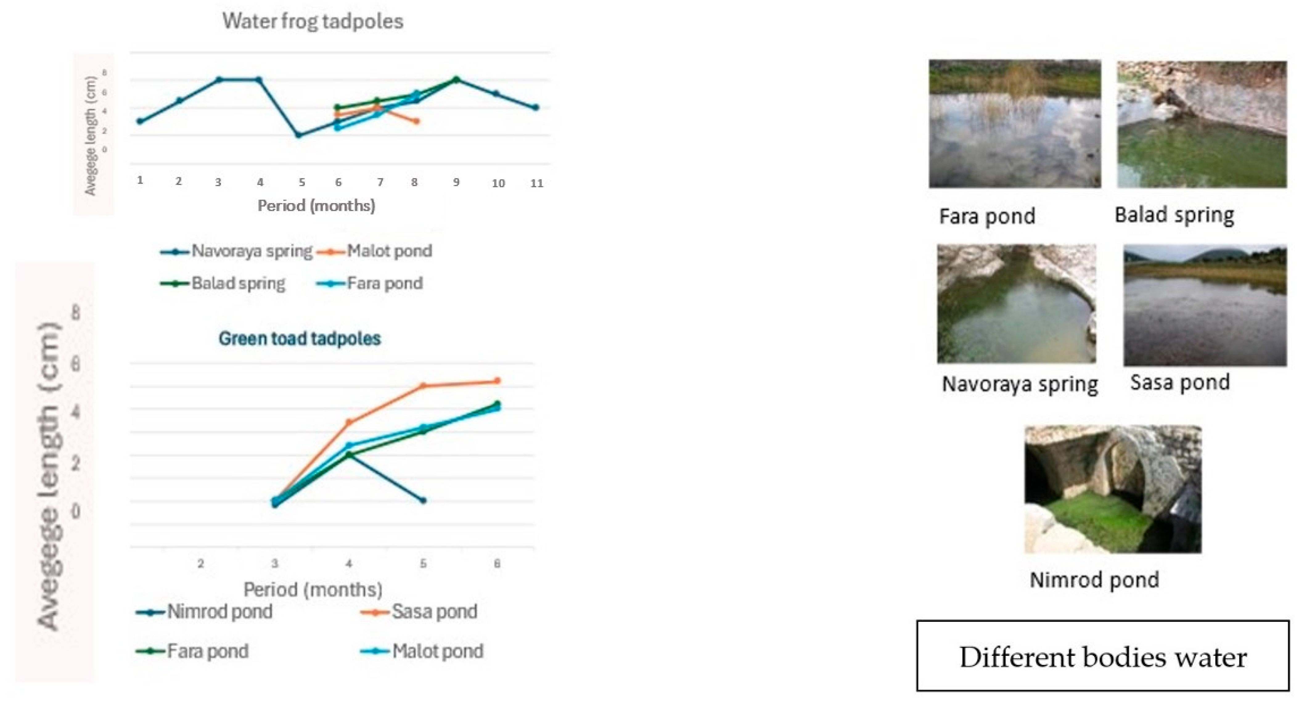 Animals 14 03351 g007