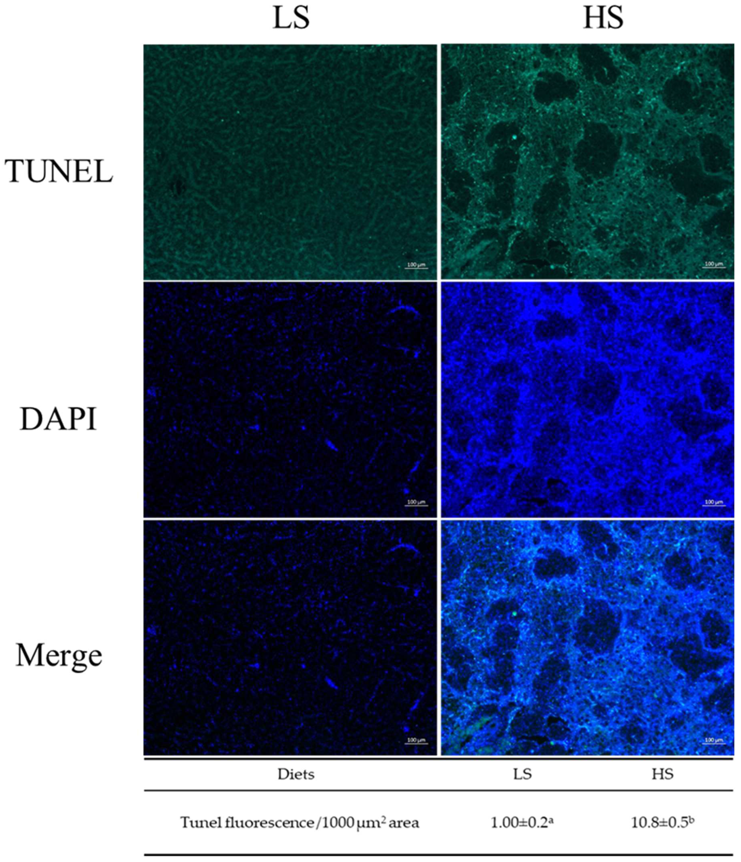 Animals 14 03394 g003