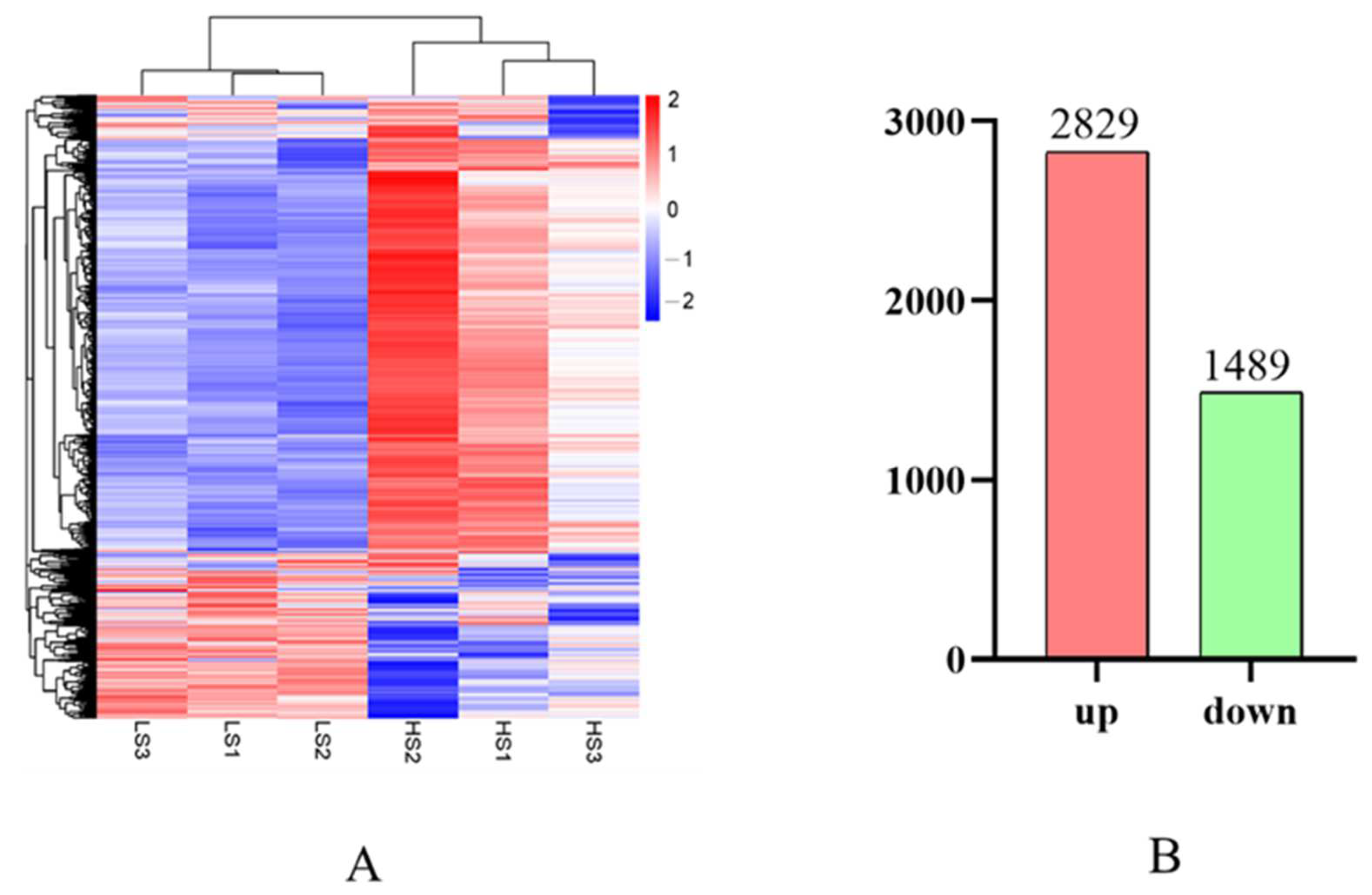 Animals 14 03394 g004