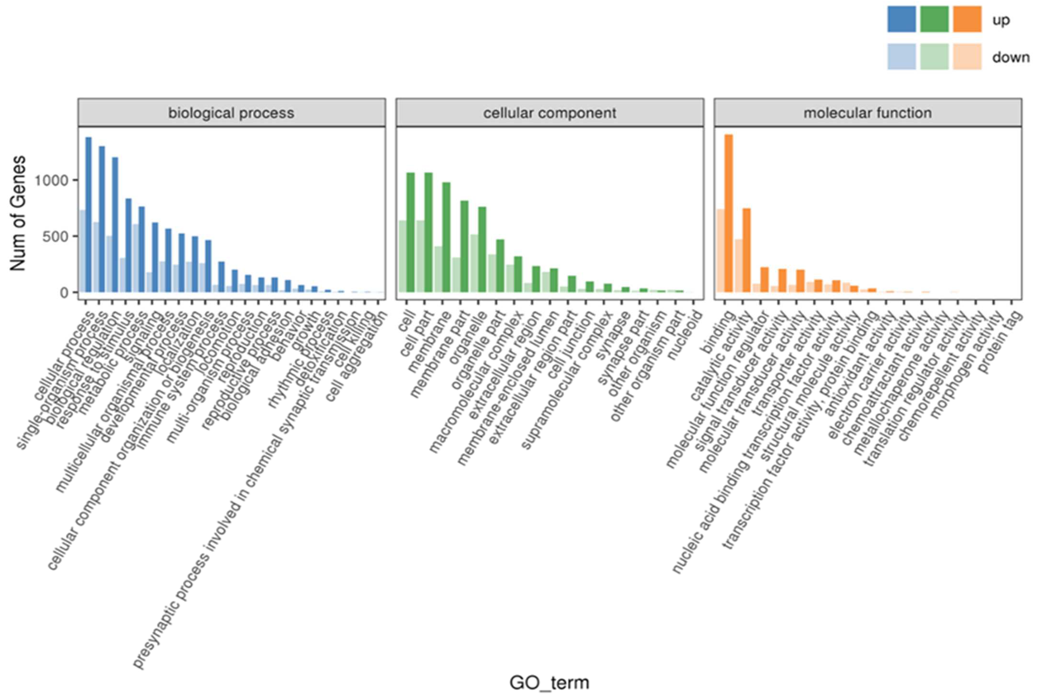 Animals 14 03394 g005