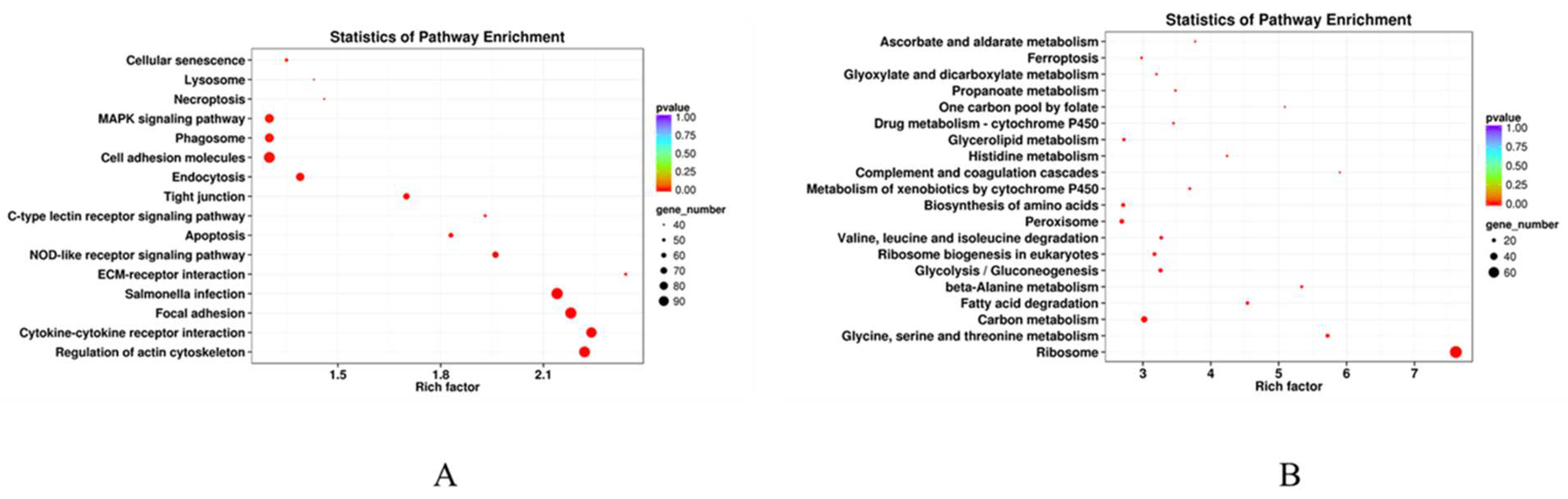Animals 14 03394 g006