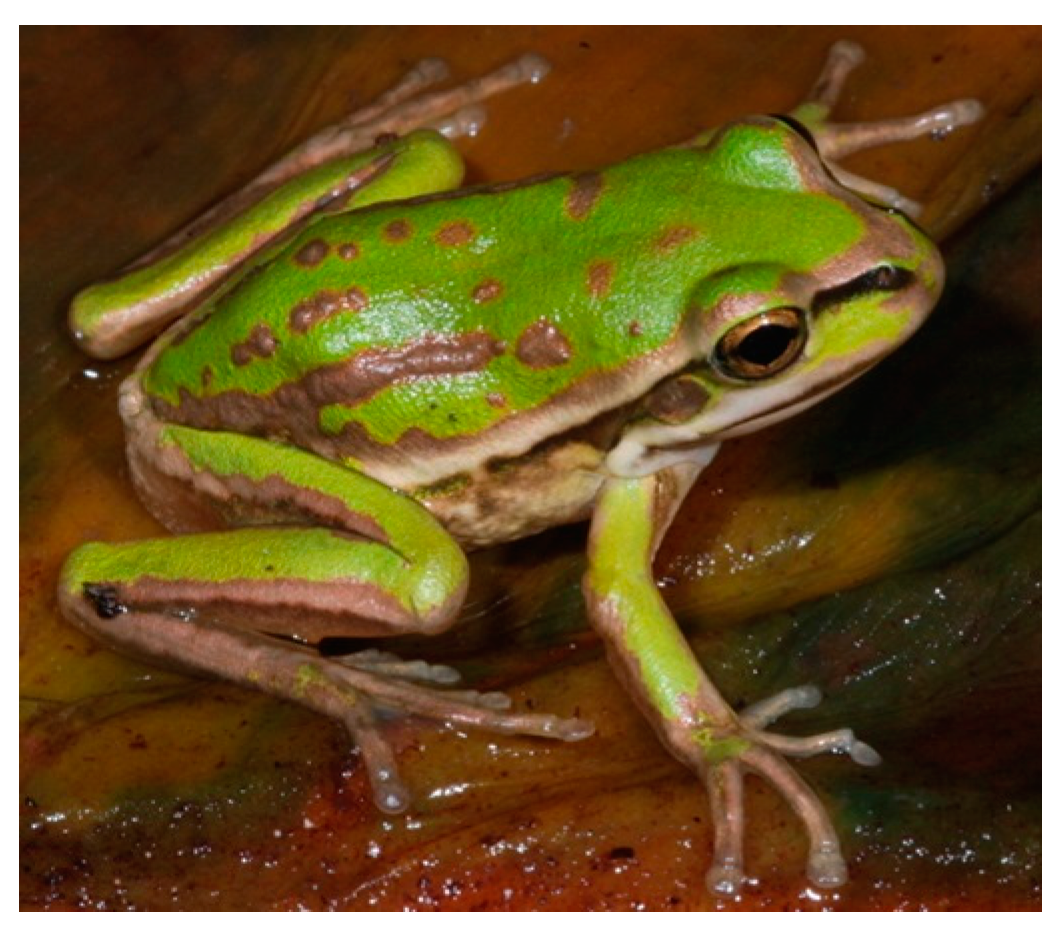 Animals 14 03395 g002 Animals 14 03395 g002