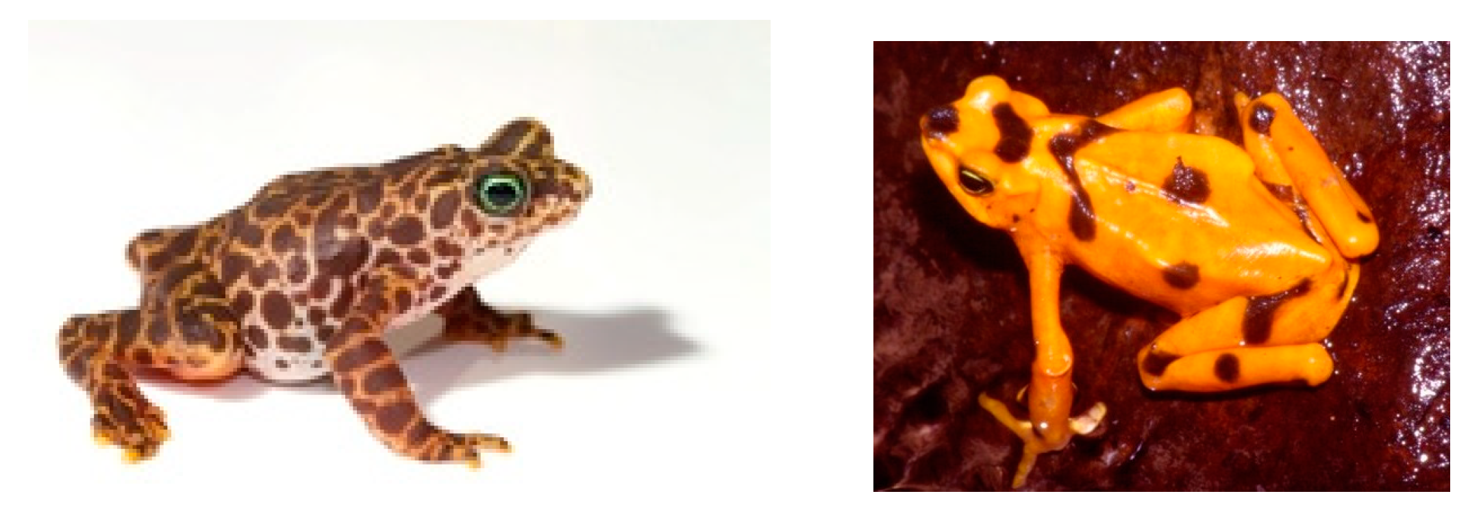 Animals 14 03395 g003 Animals 14 03395 g003