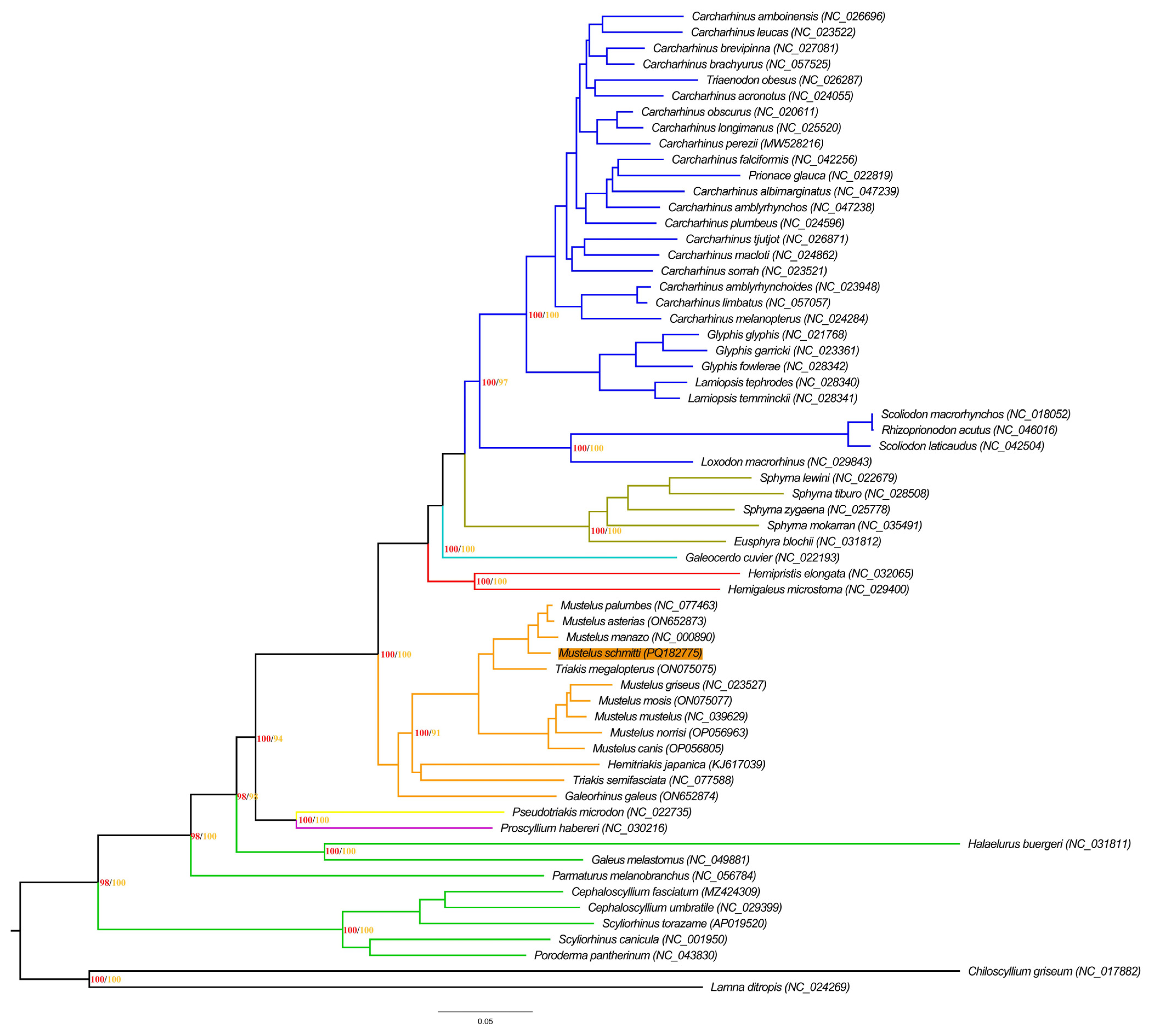 Animals 14 03396 g004