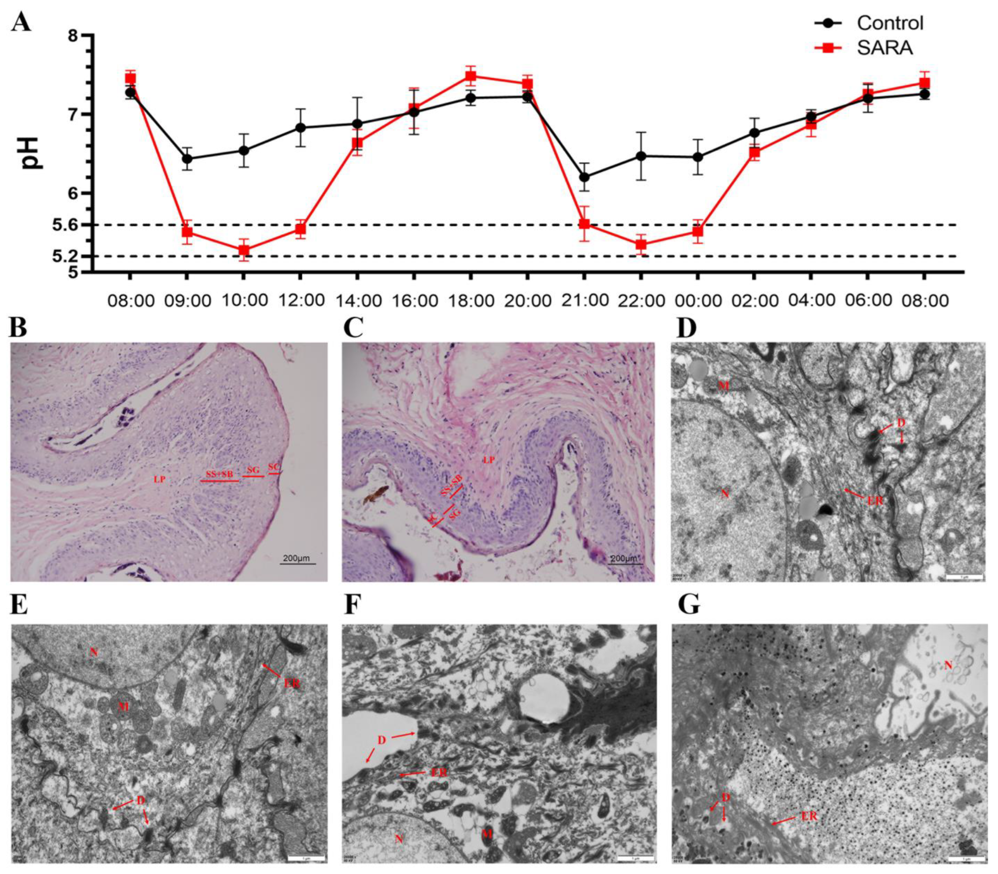 Animals 14 03451 g002