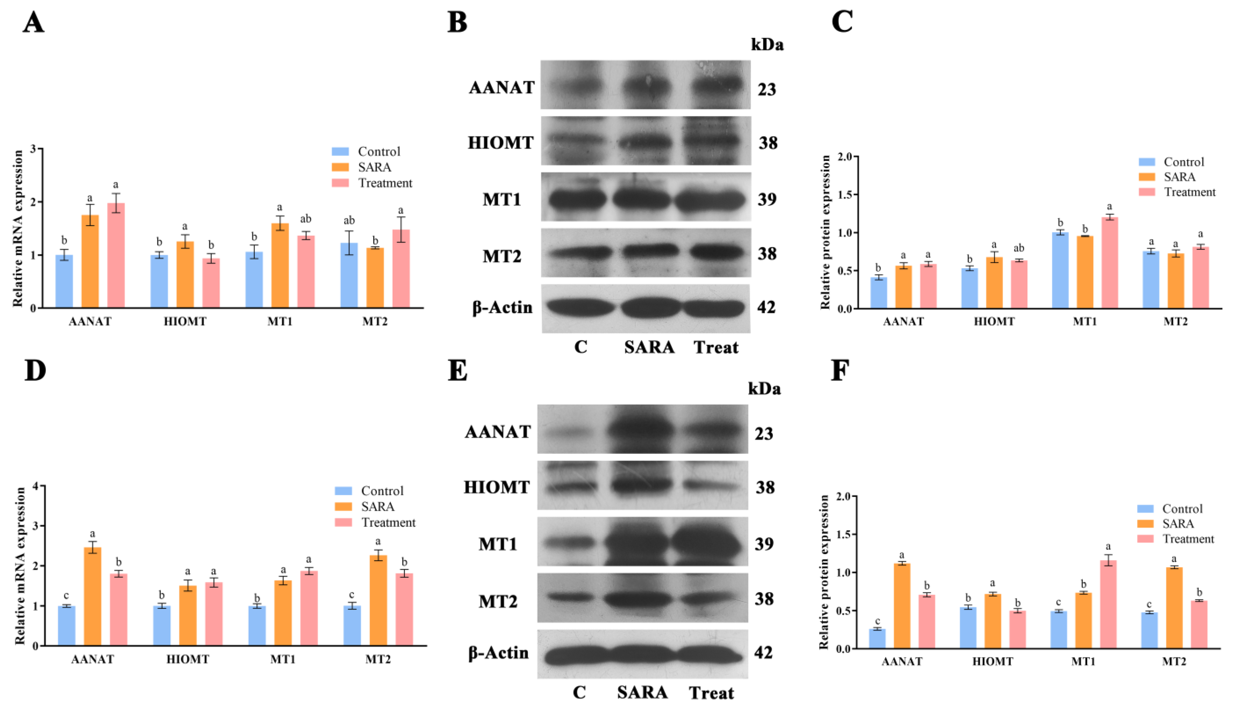 Animals 14 03451 g005