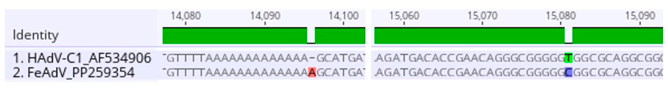 Animals 14 03502 g001