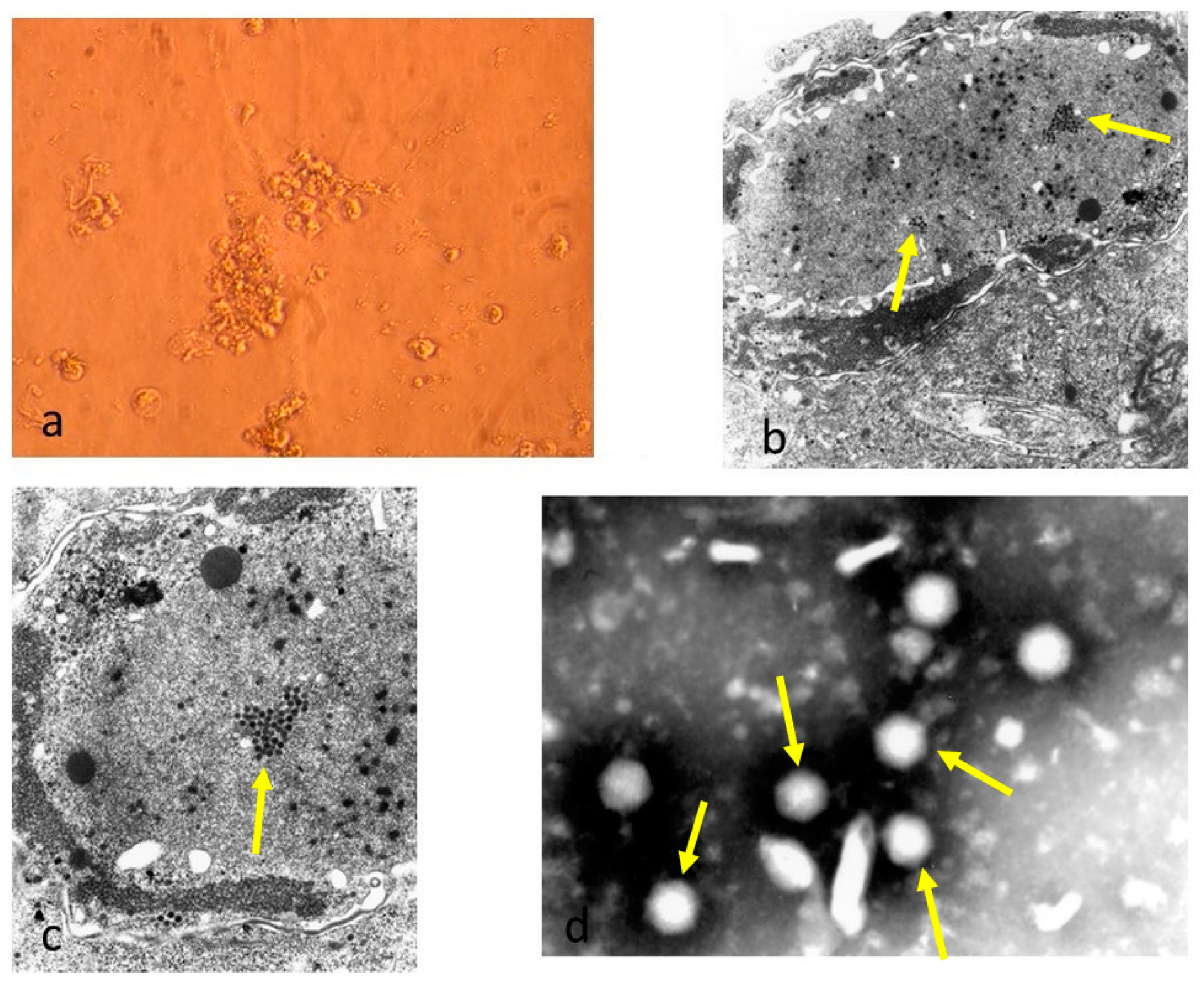 Animals 14 03502 g003