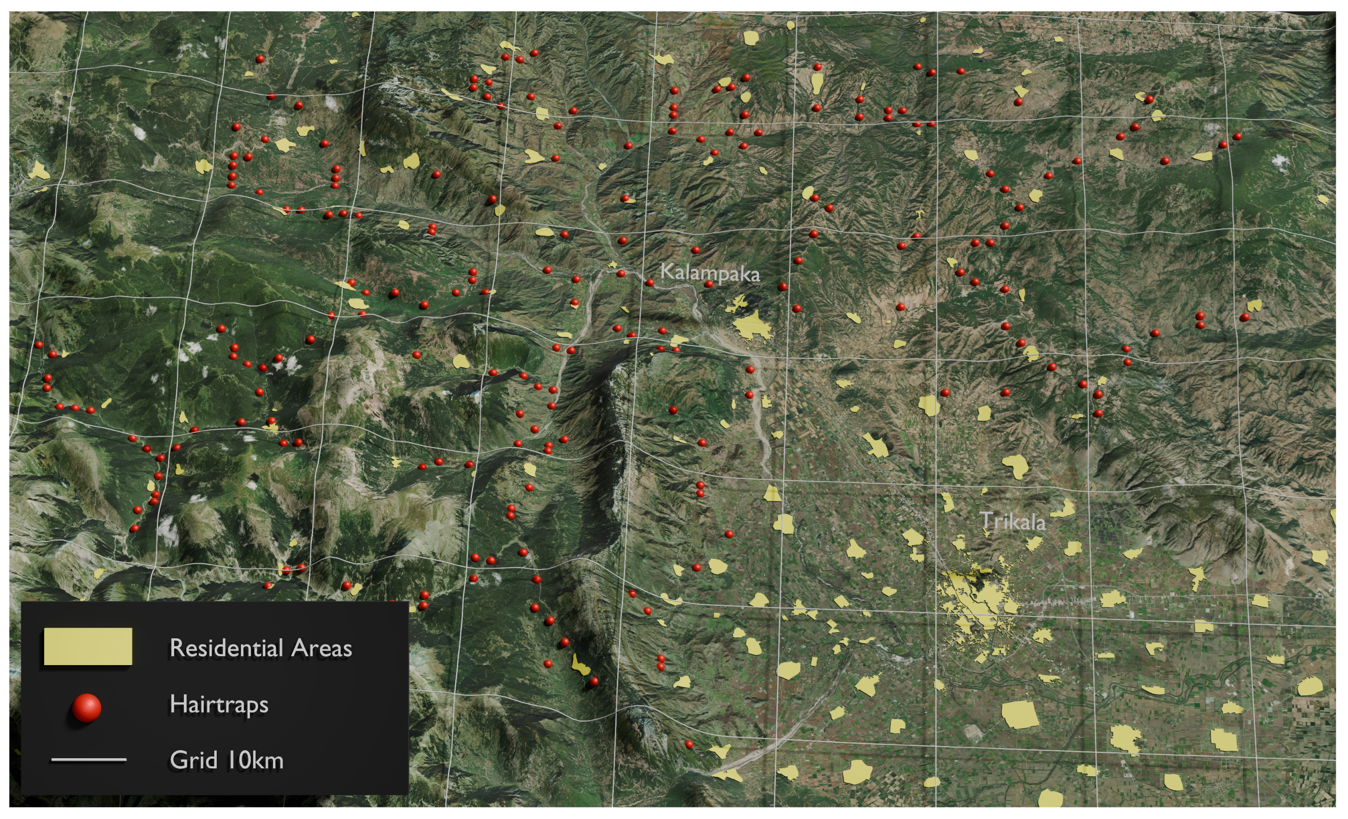 Animals 14 03530 g001