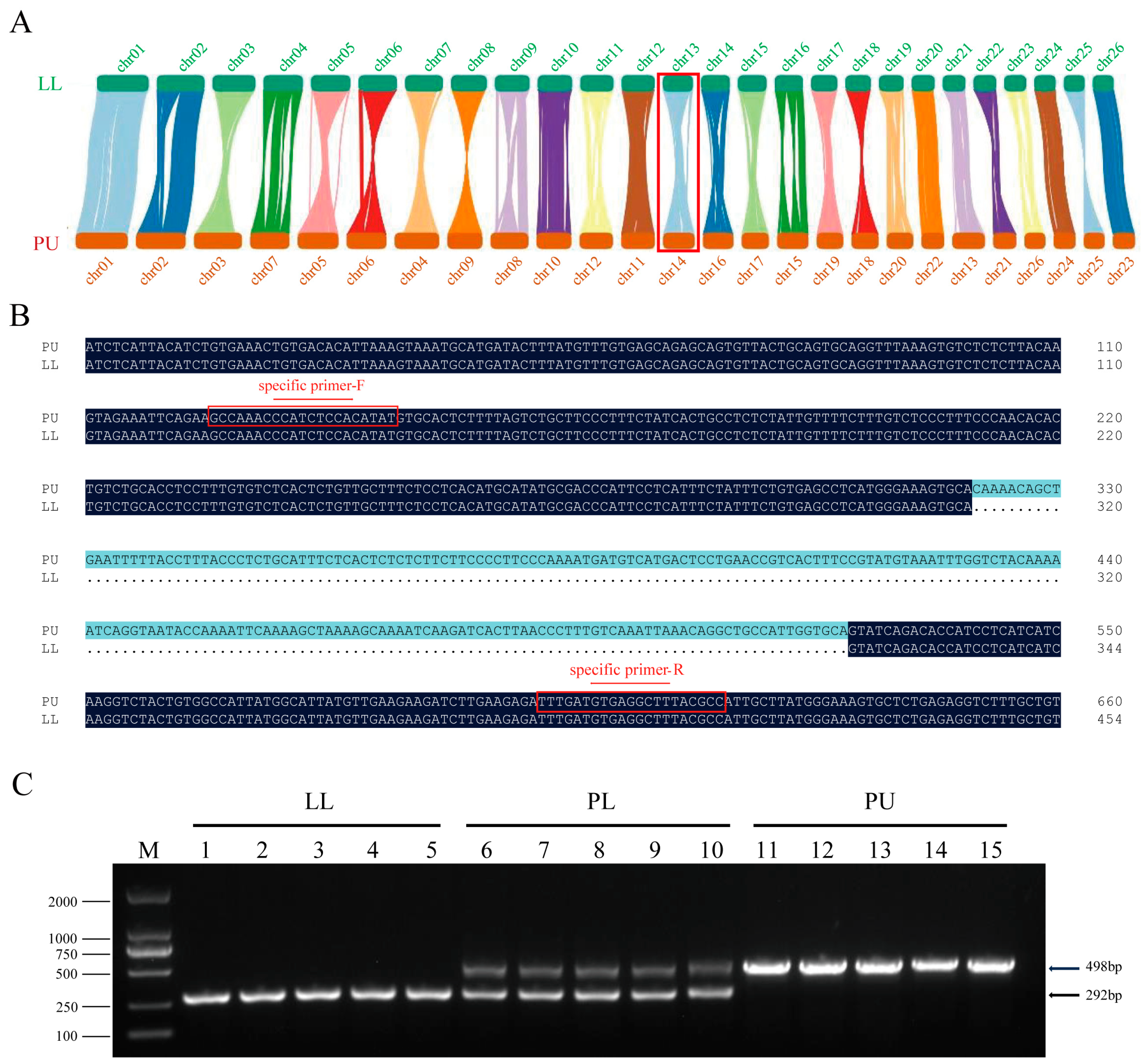 Animals 14 03617 g005