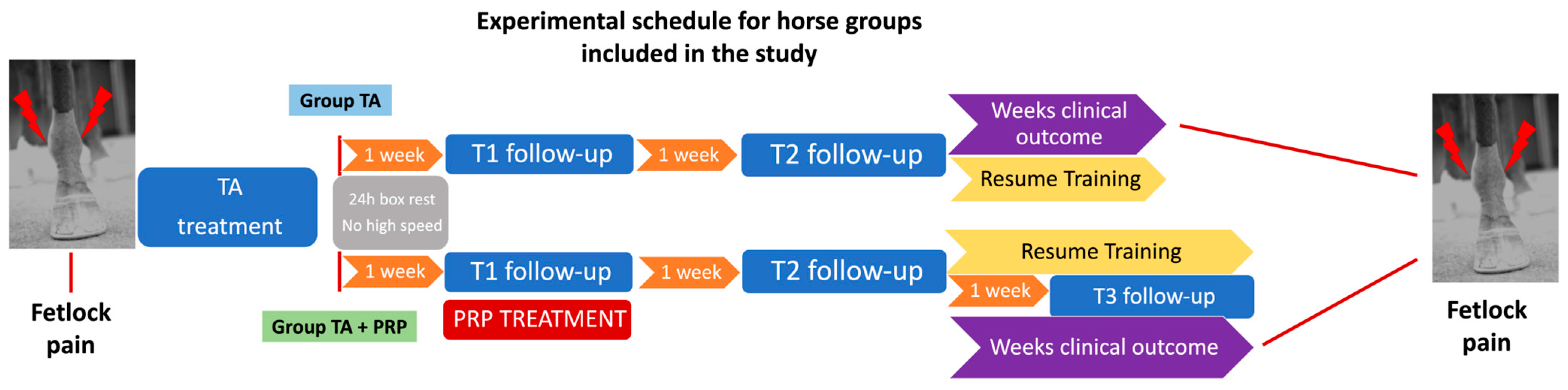 Animals 14 03645 g001