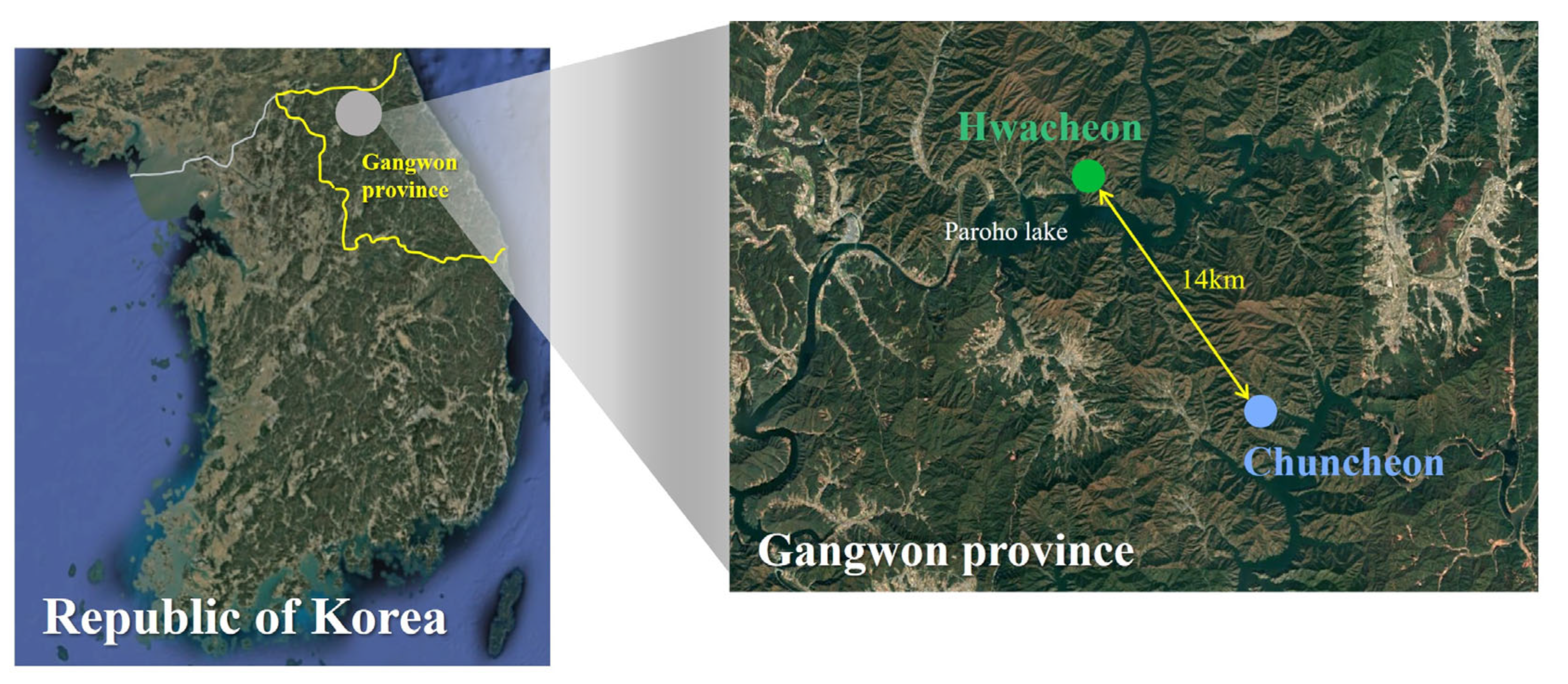 Animals 14 03662 g002