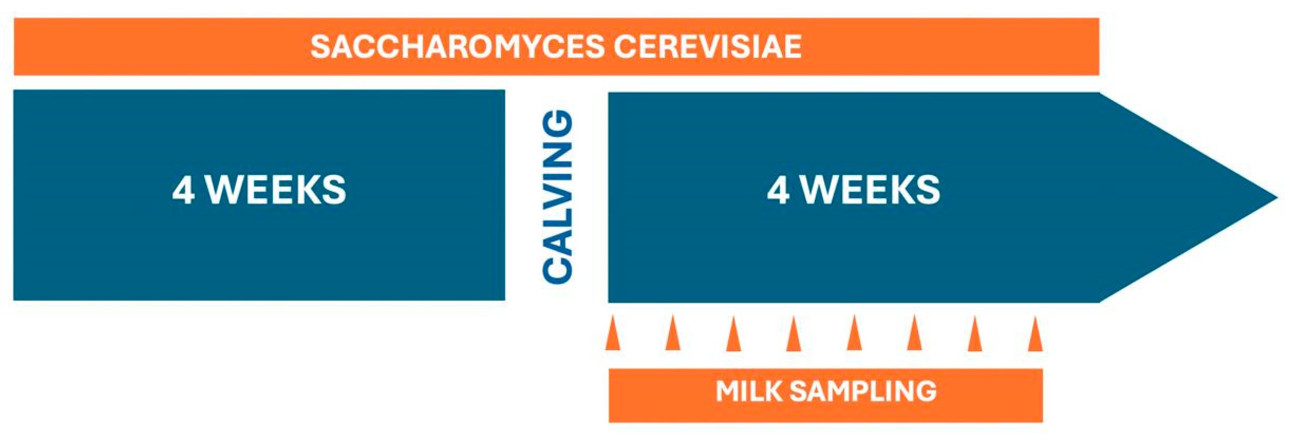 Animals 14 03689 g001 Animals 14 03689 g001