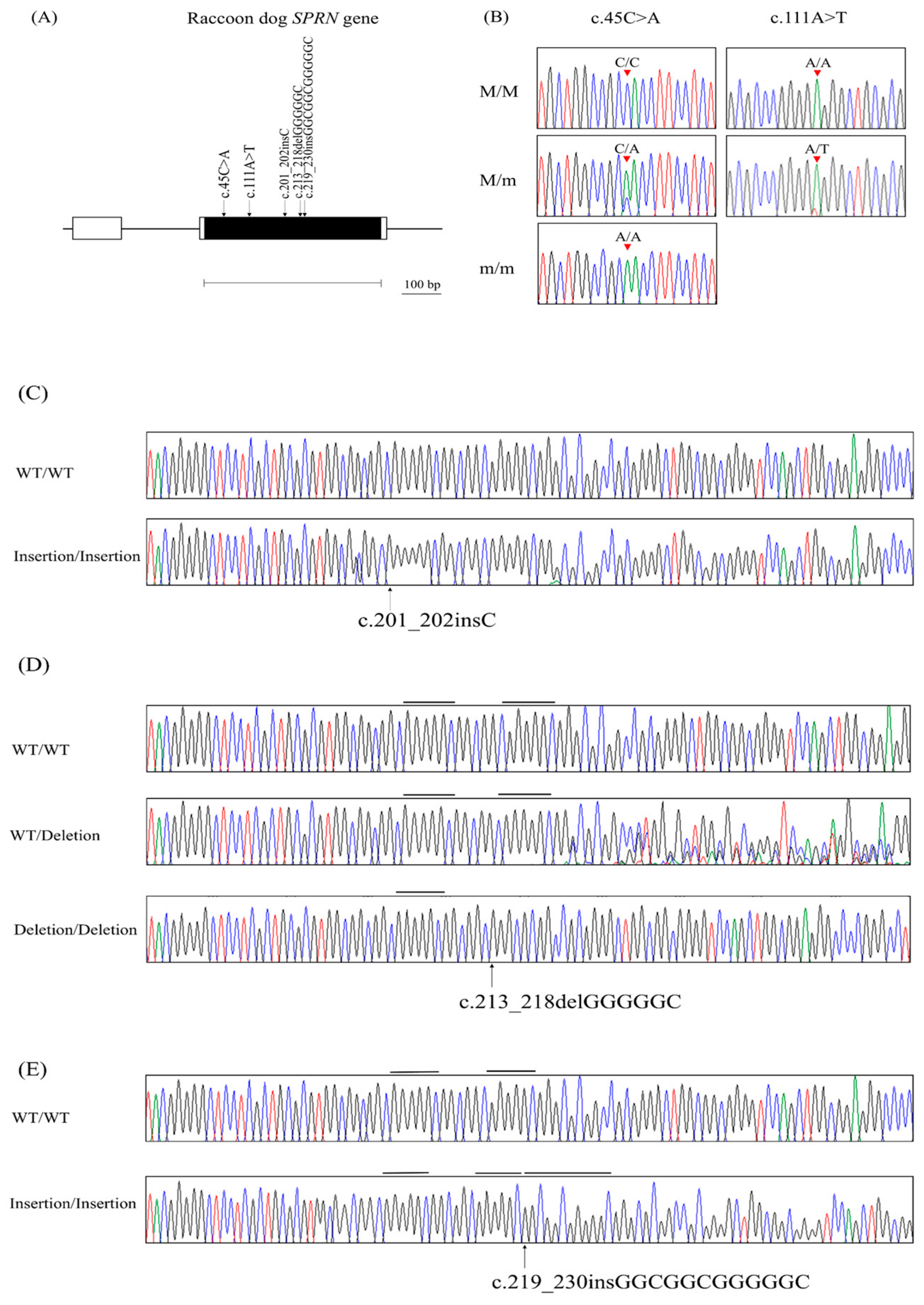 Animals 14 03716 g001