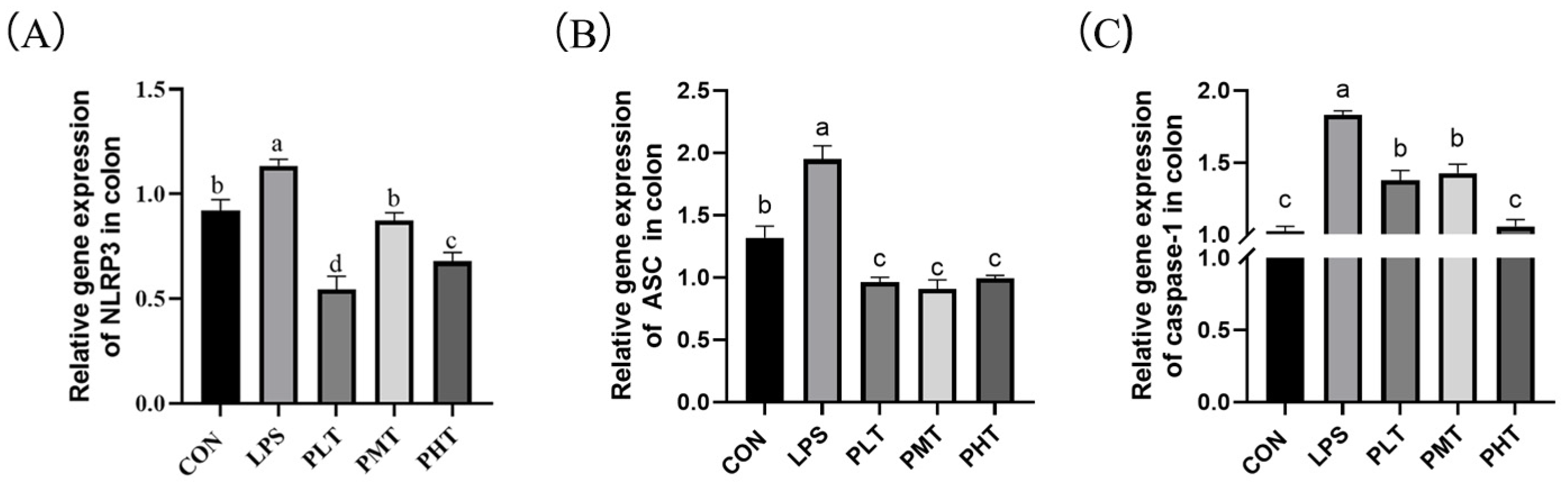 Animals 15 00009 g004