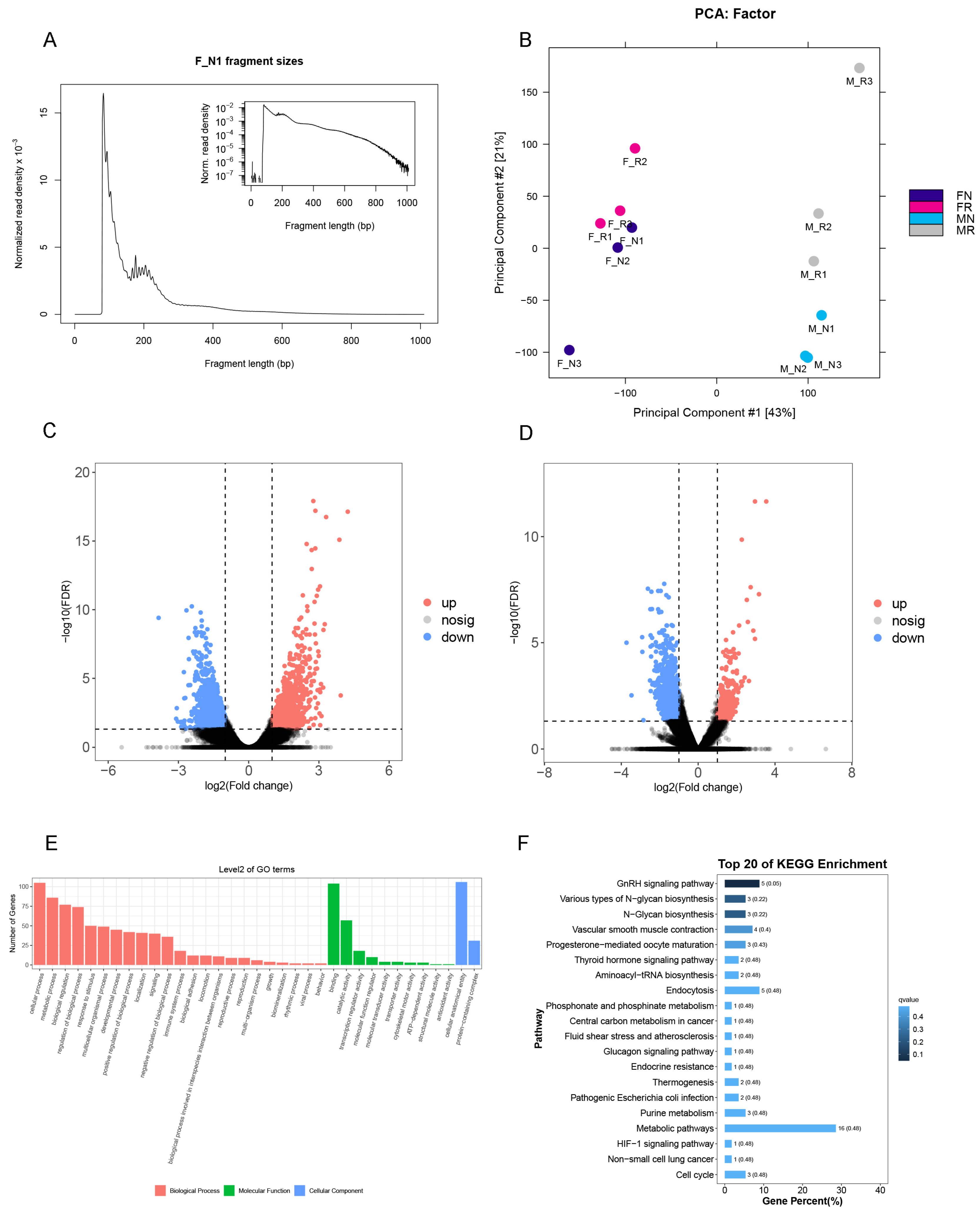 Animals 15 00023 g006