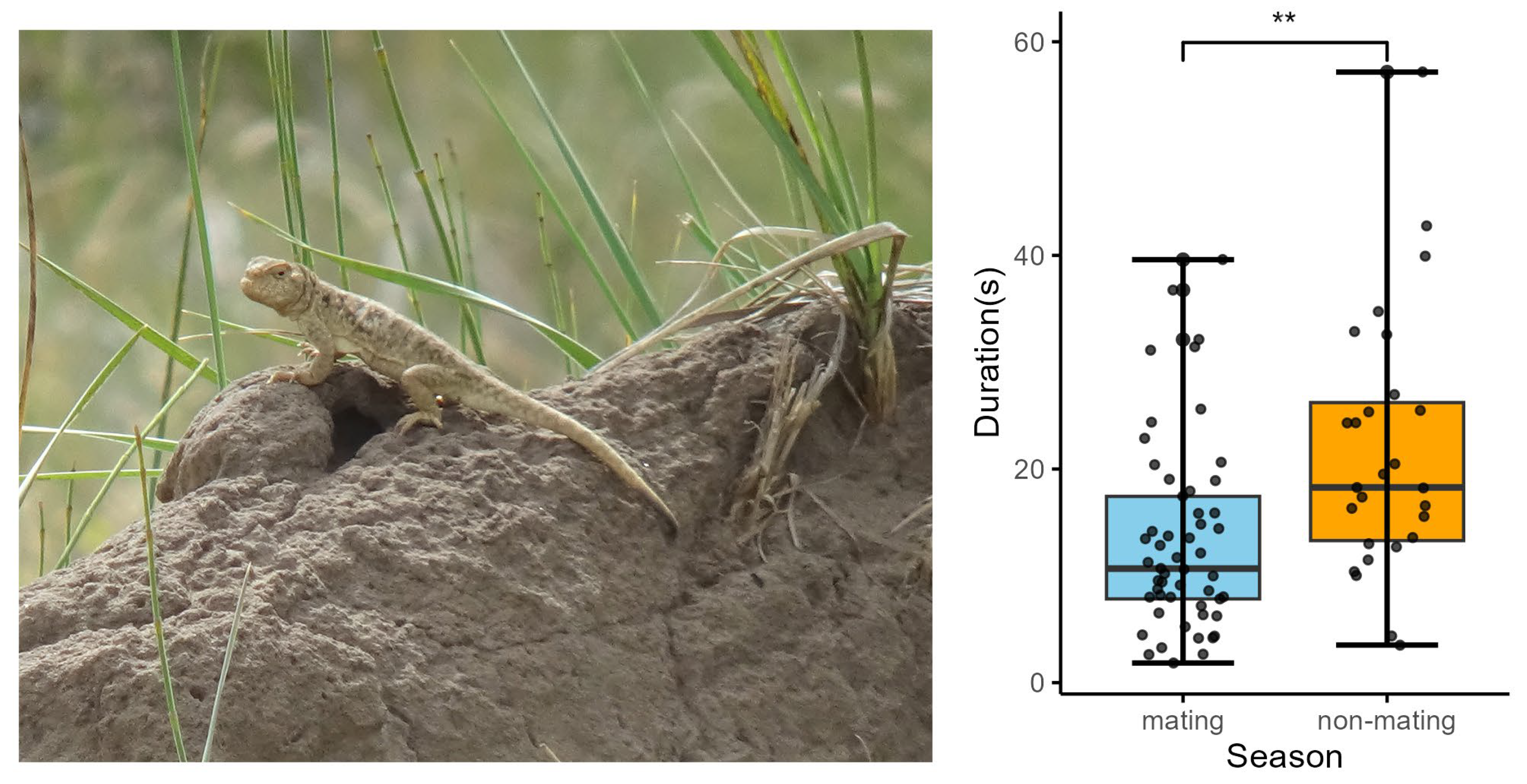 Animals 15 00038 g002 Animals 15 00038 g002