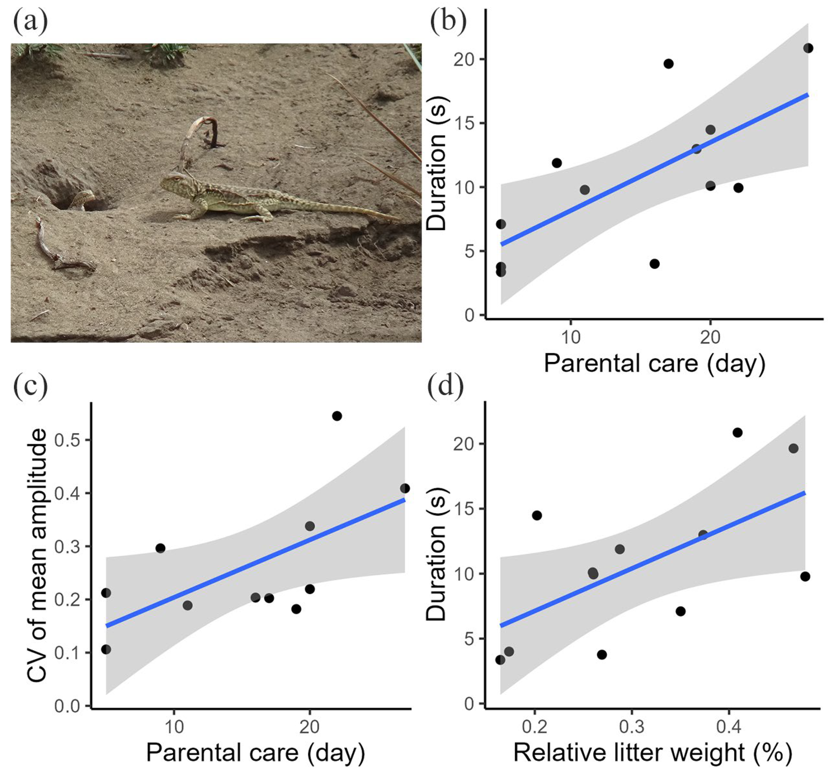 Animals 15 00038 g003 Animals 15 00038 g003