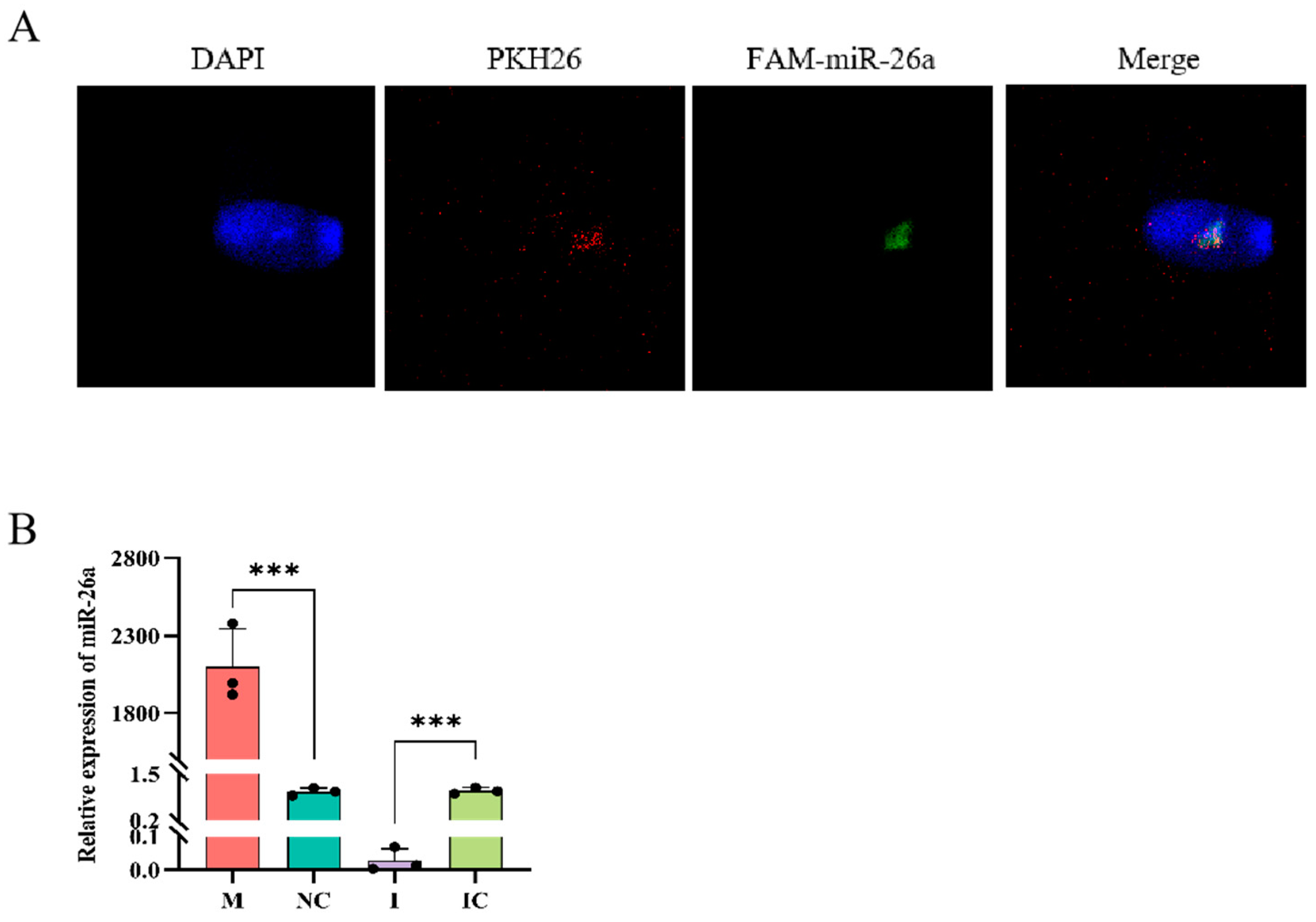 Animals 15 00040 g005