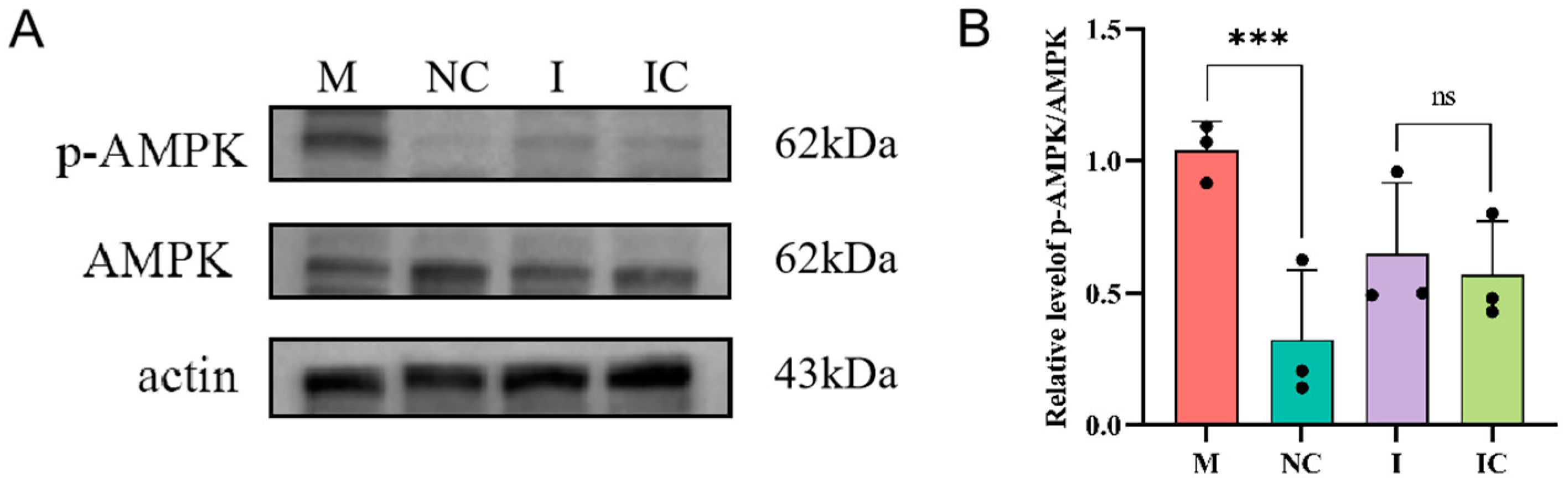 Animals 15 00040 g007