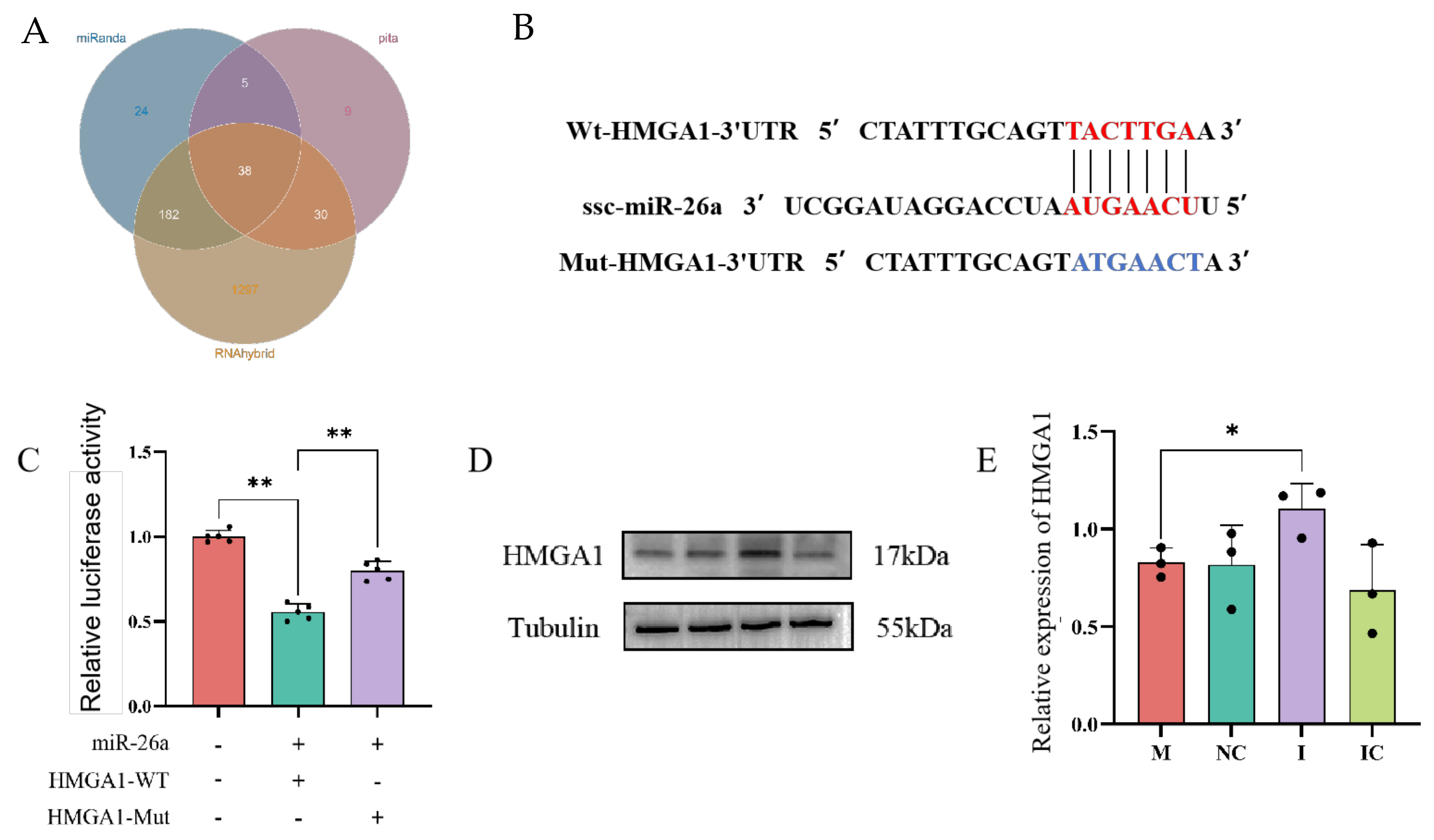 Animals 15 00040 g010