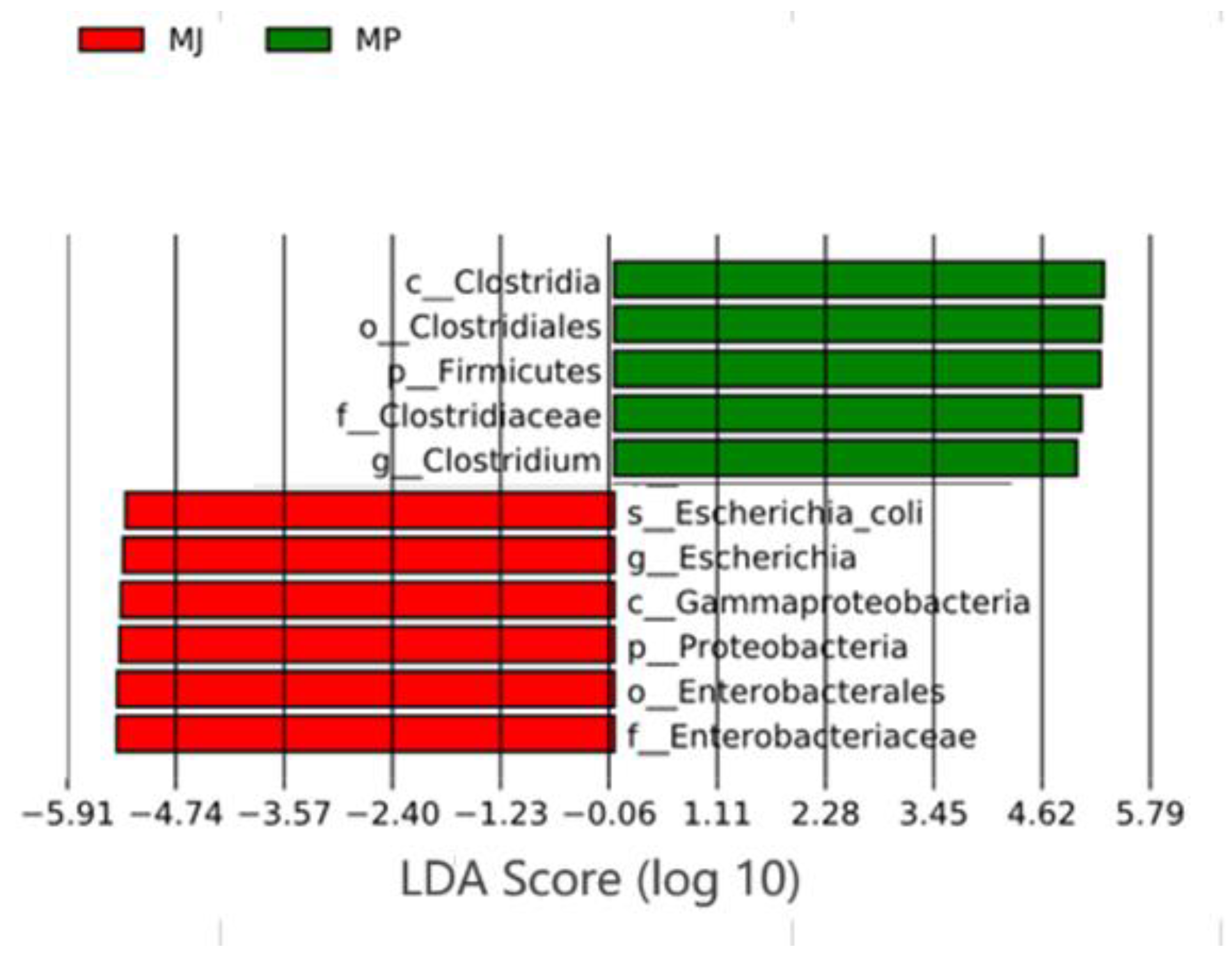 Animals 15 00057 g002
