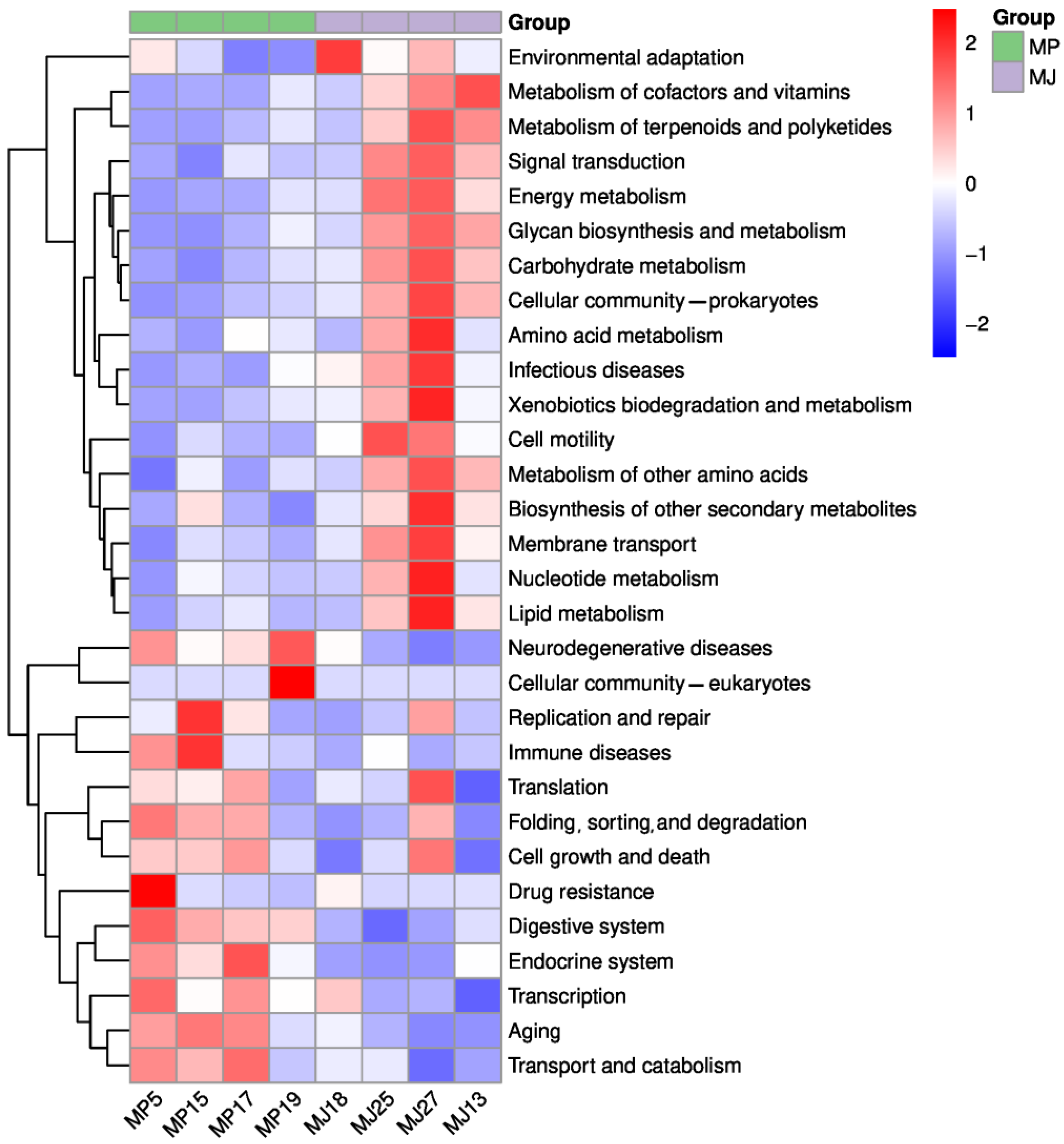 Animals 15 00057 g004