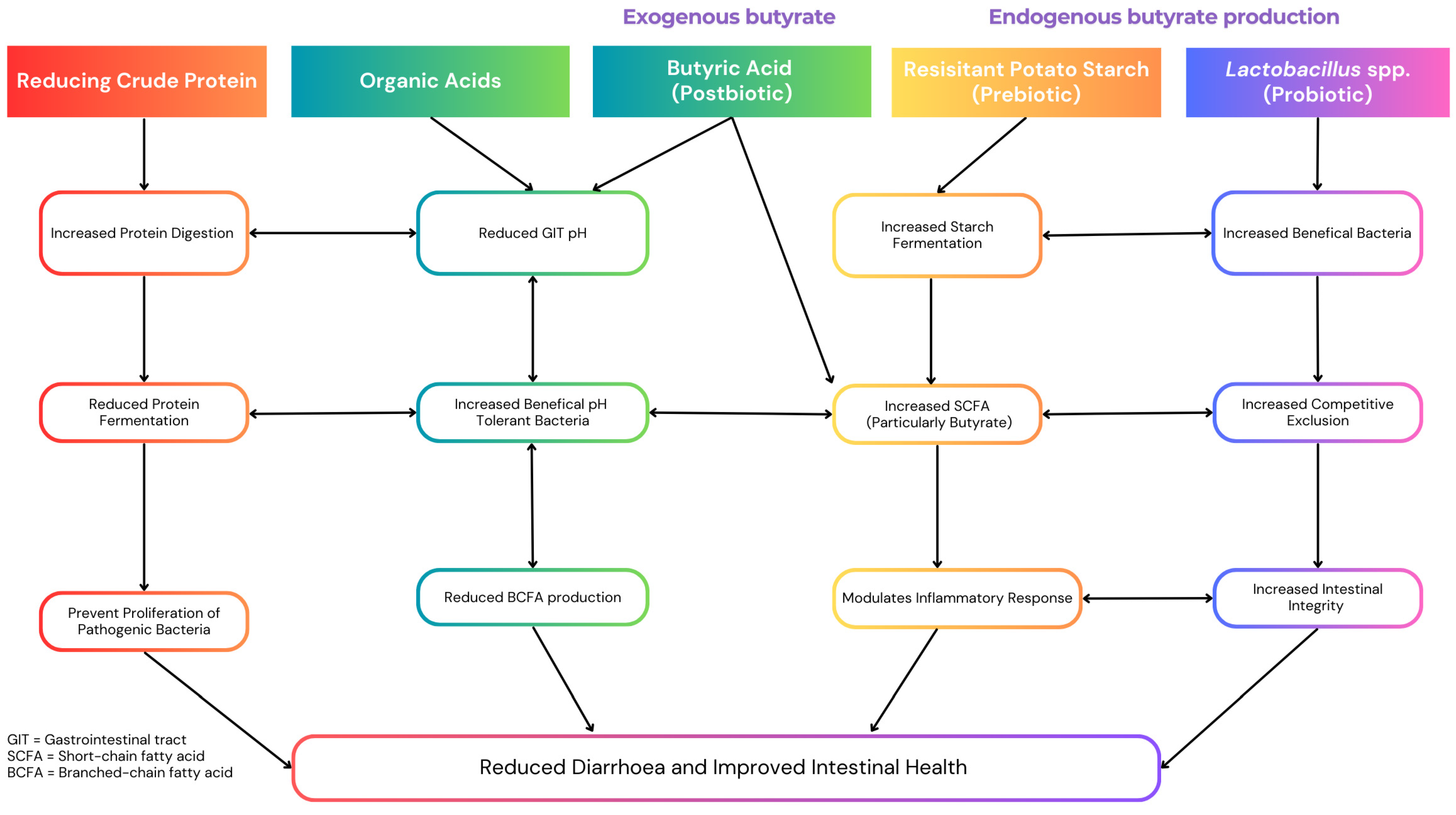 Animals 15 00066 g001