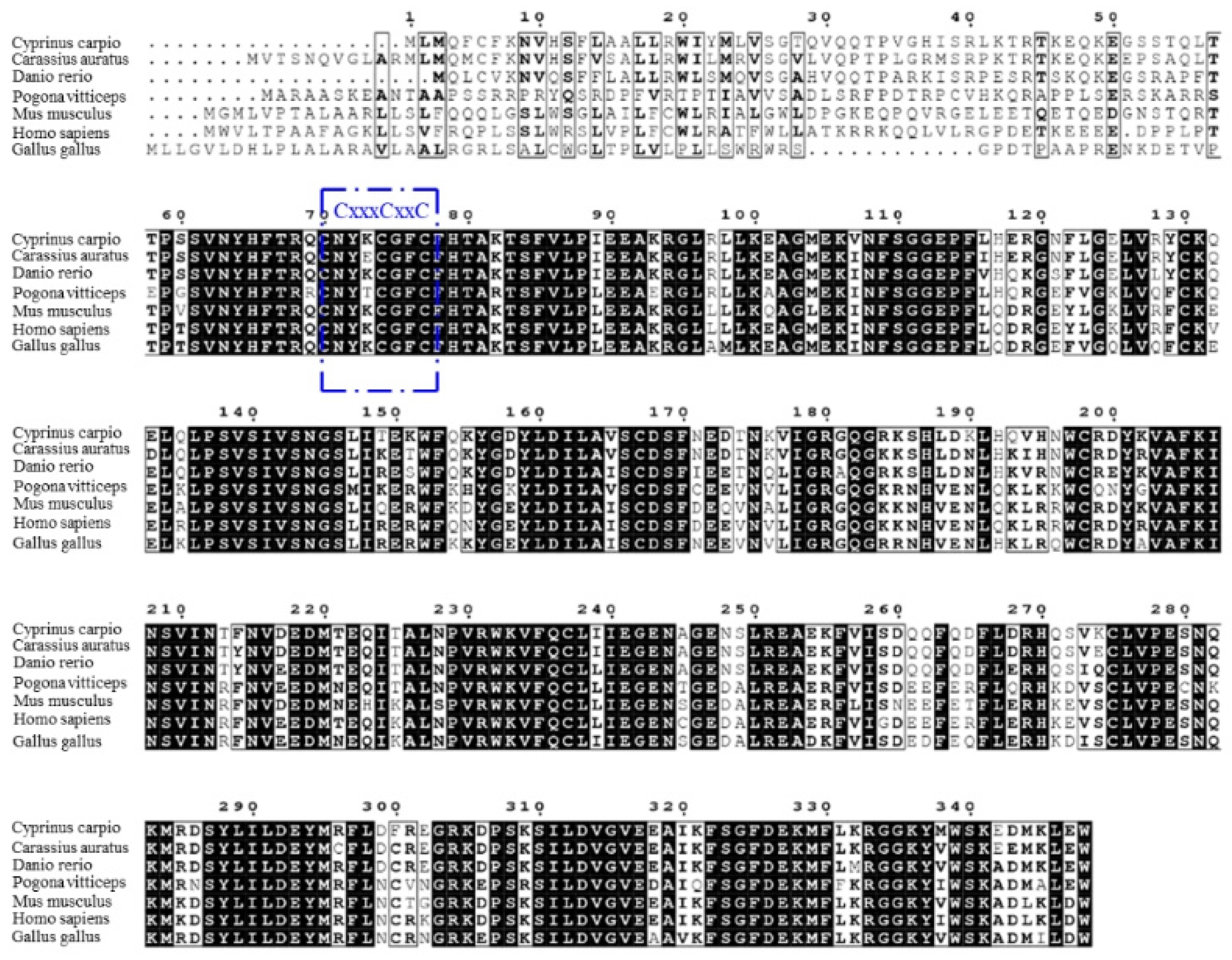 Animals 15 00096 g001