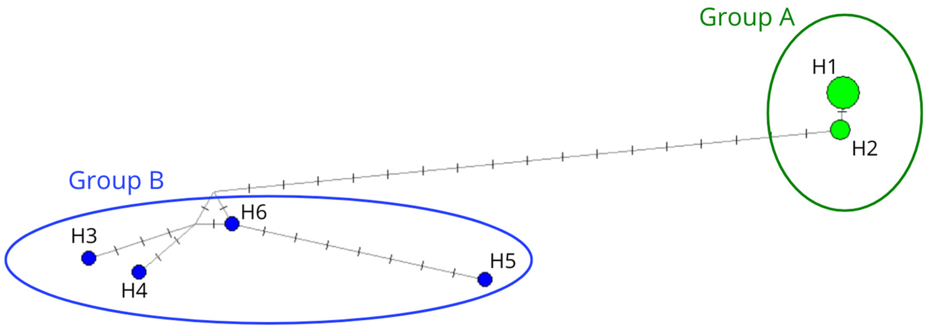 Animals 15 00108 g002