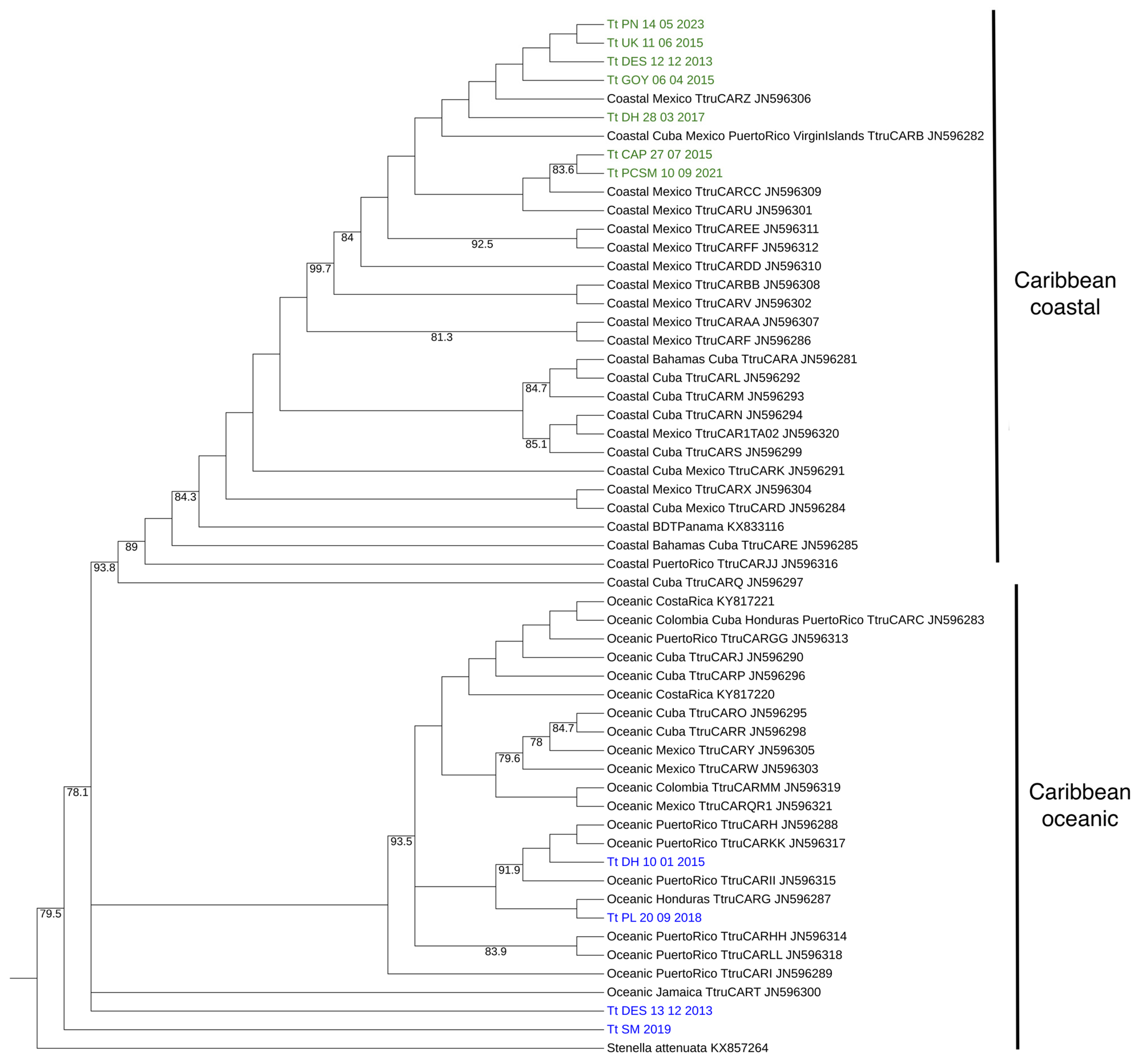 Animals 15 00108 g003