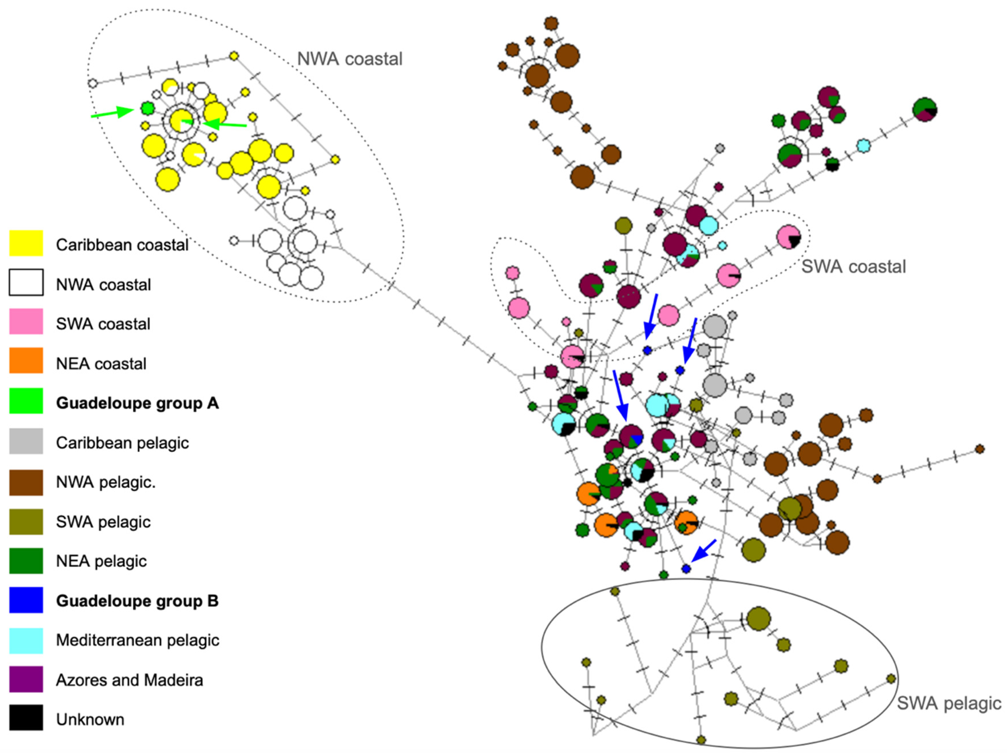 Animals 15 00108 g004