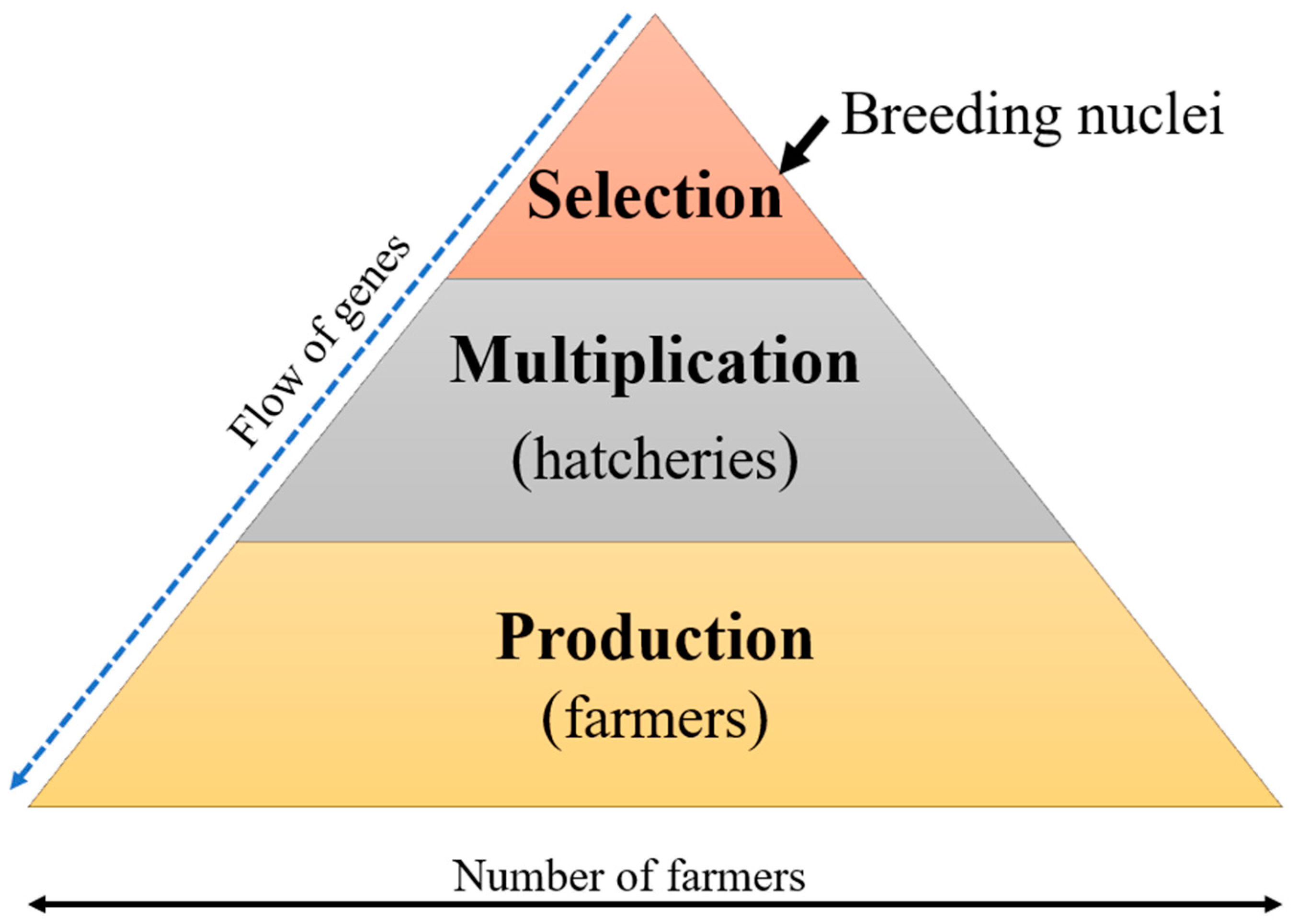 Animals 15 00142 g004