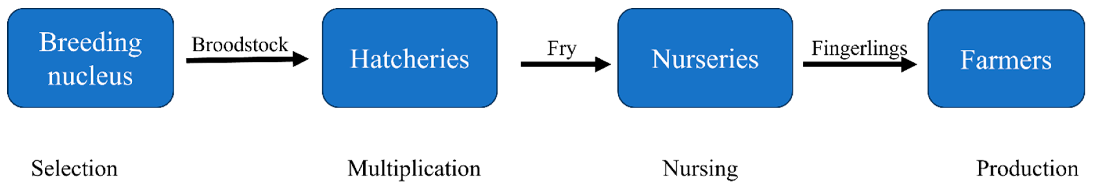 Animals 15 00142 g006