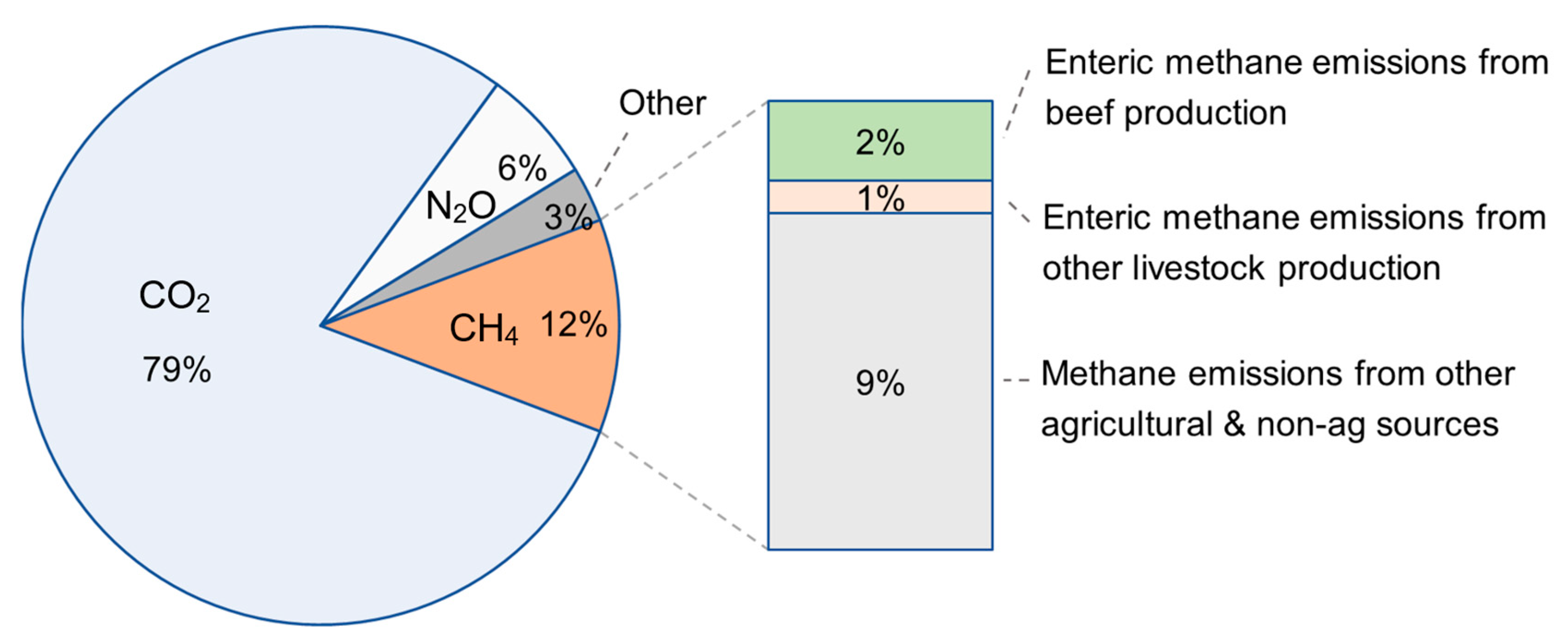 Animals 15 00144 g001