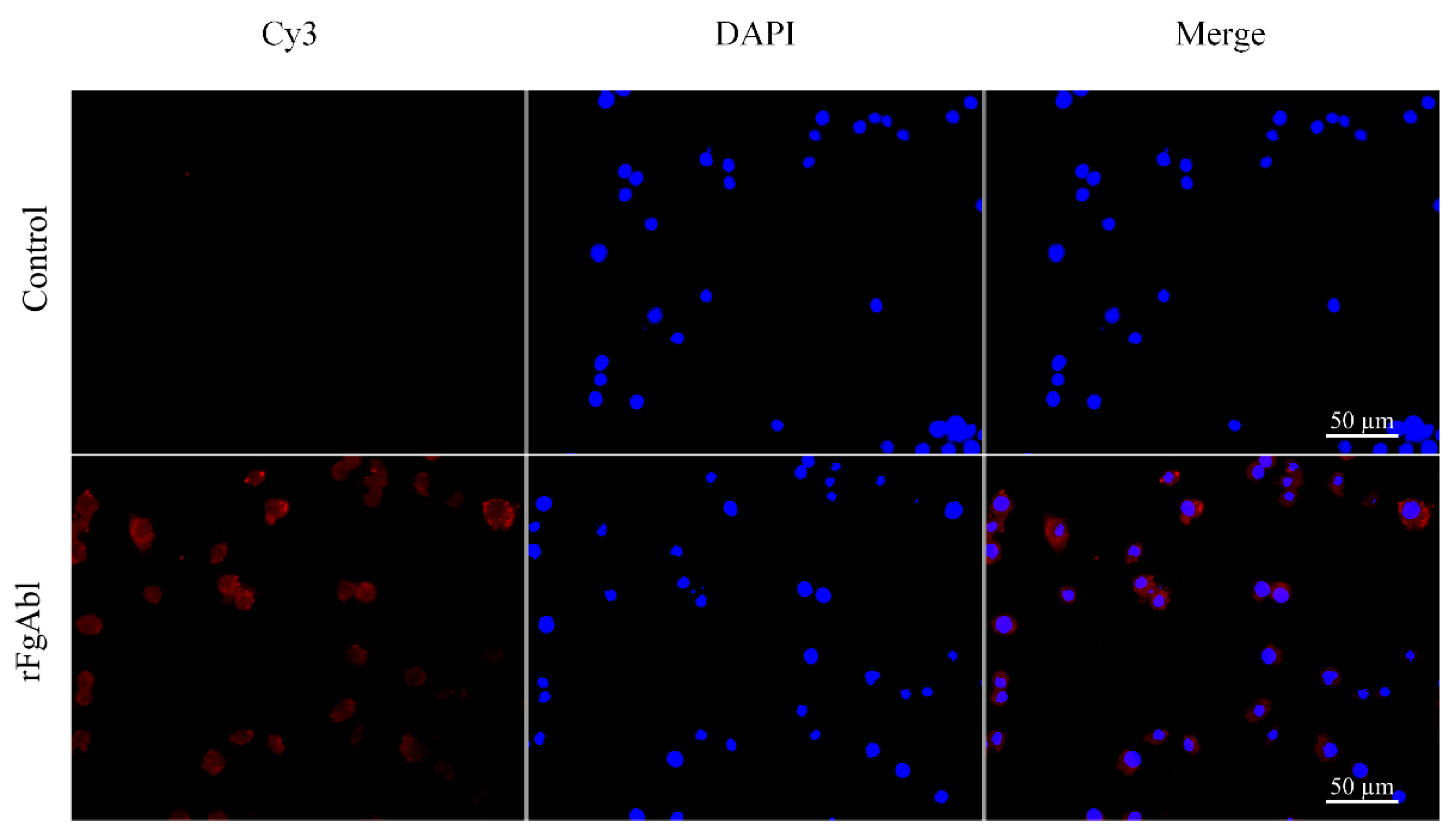 Animals 15 00179 g004