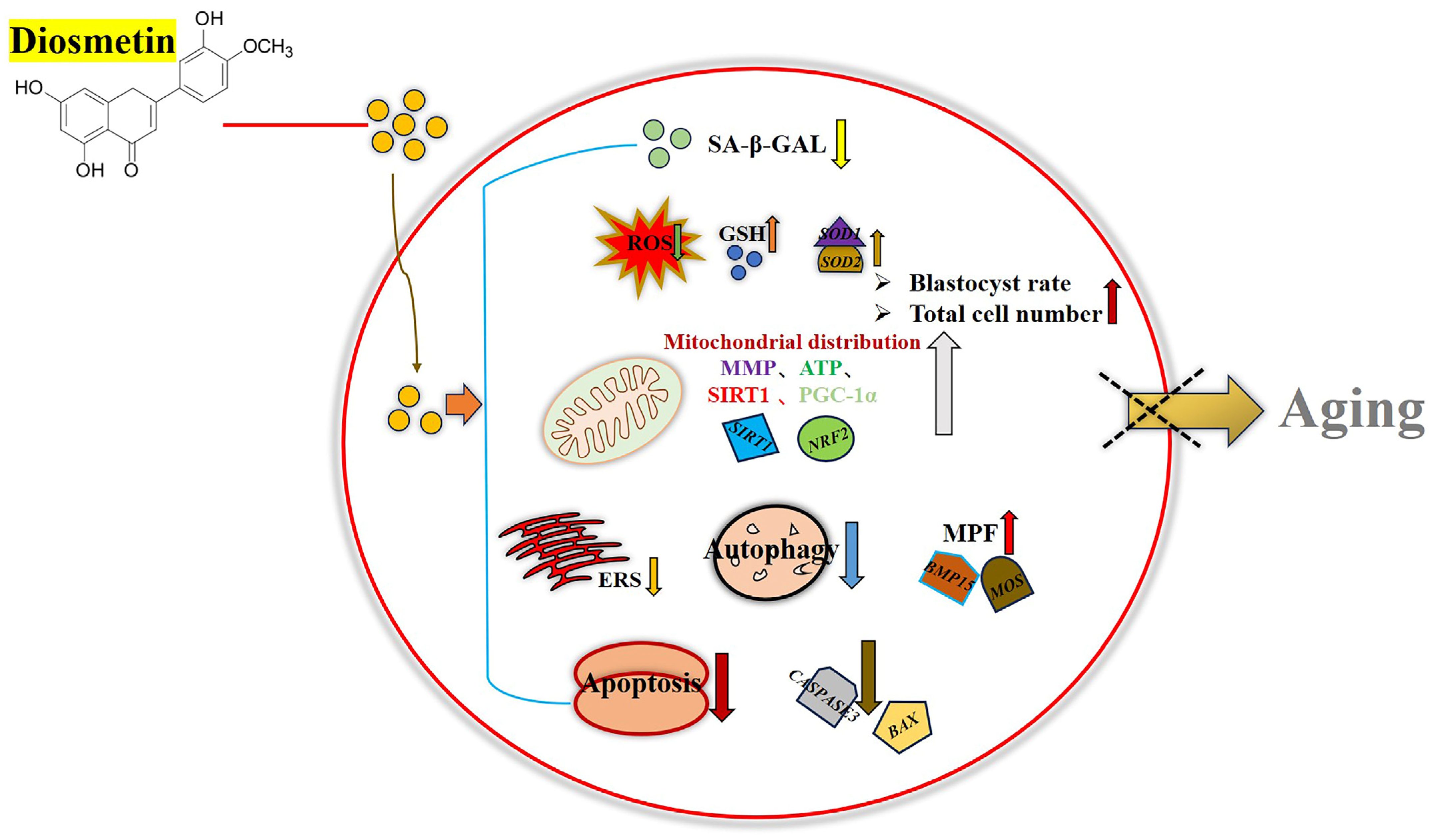 Animals 15 00291 g007