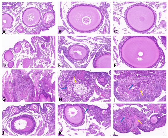 Animals 15 00299 g002