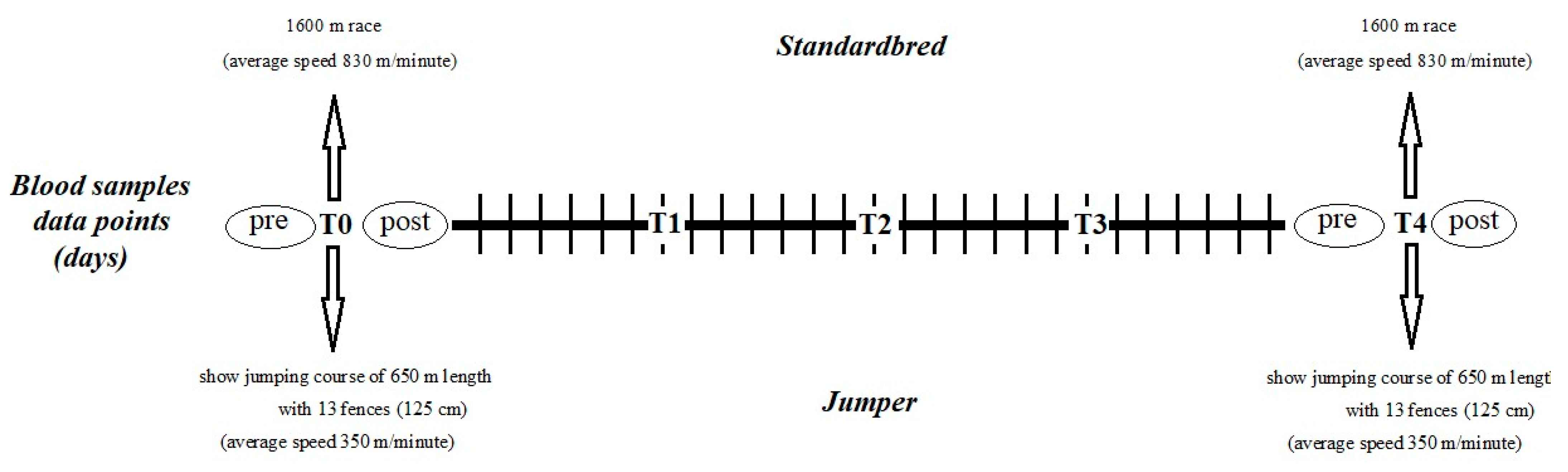 Animals 15 00300 g001