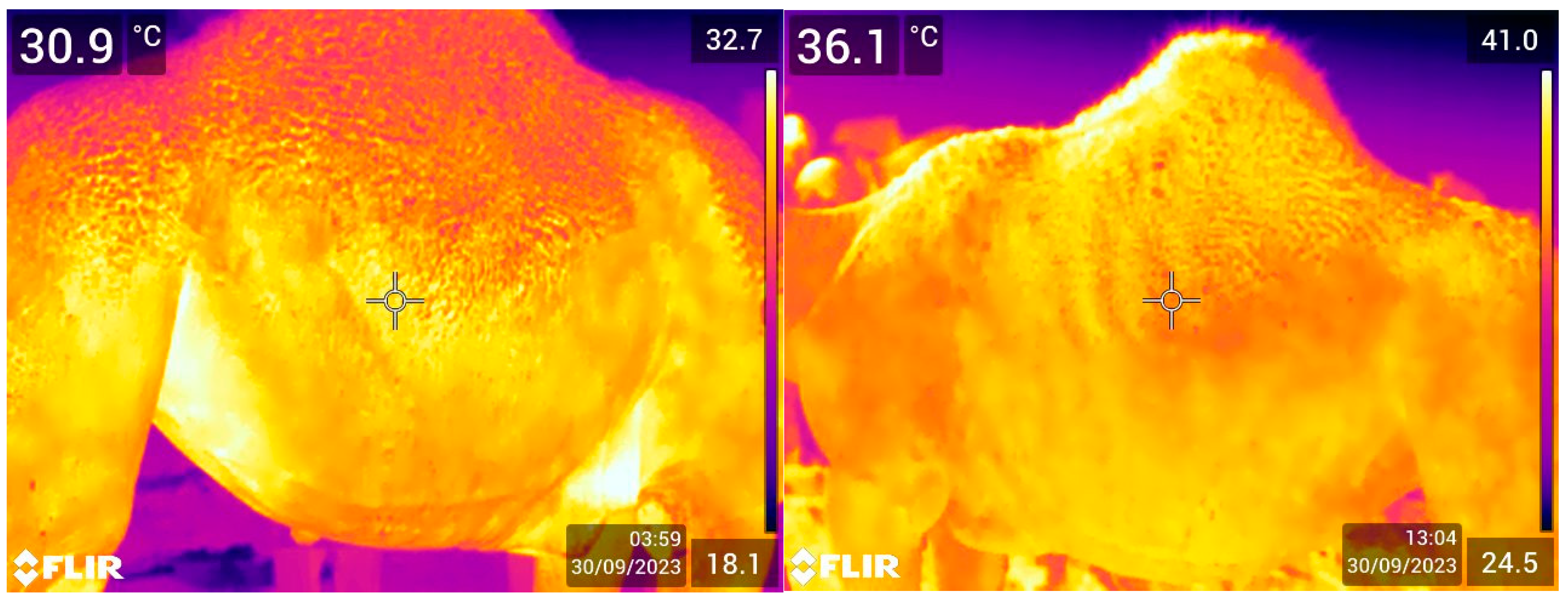 Animals 15 00309 g003