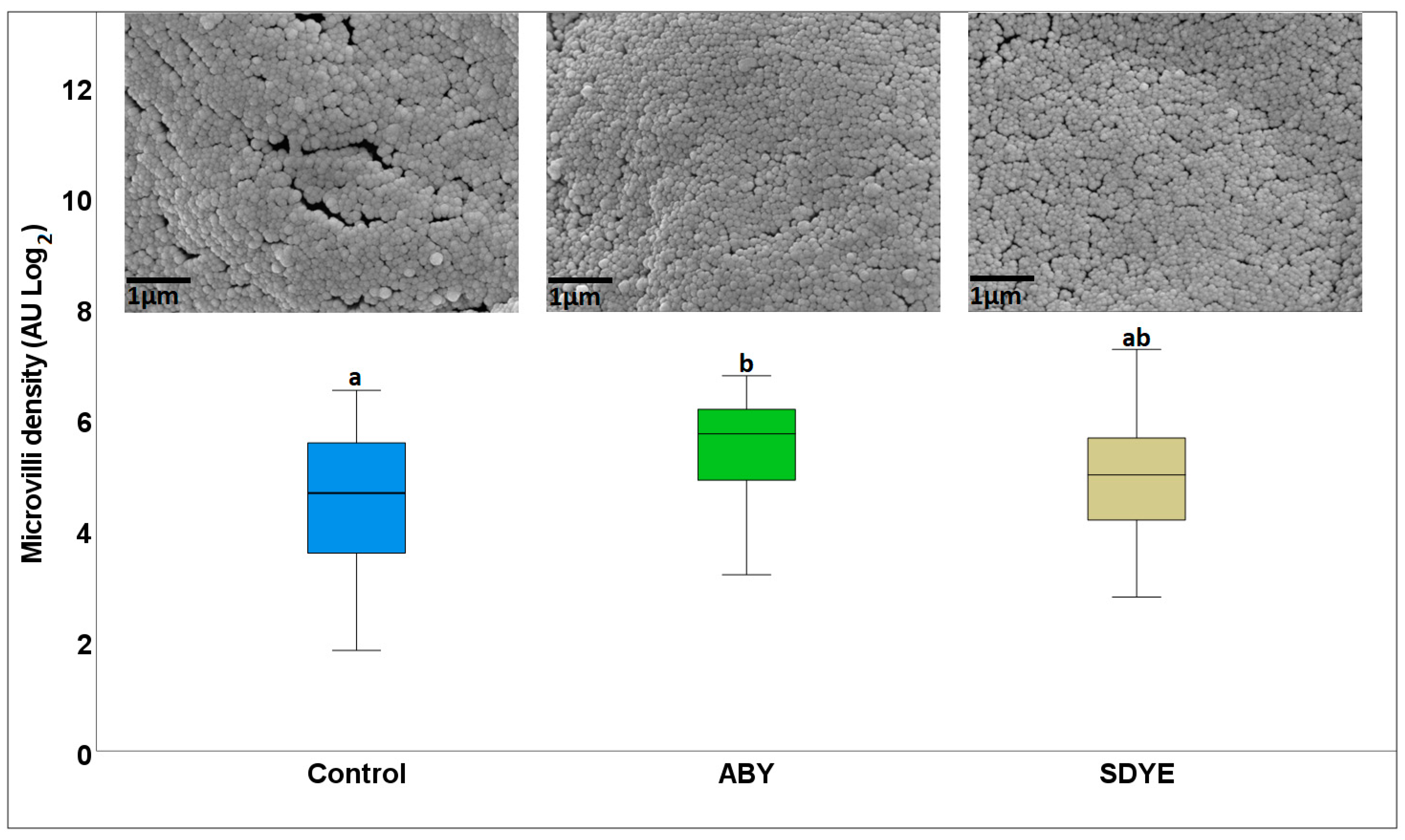 Animals 15 00323 g003