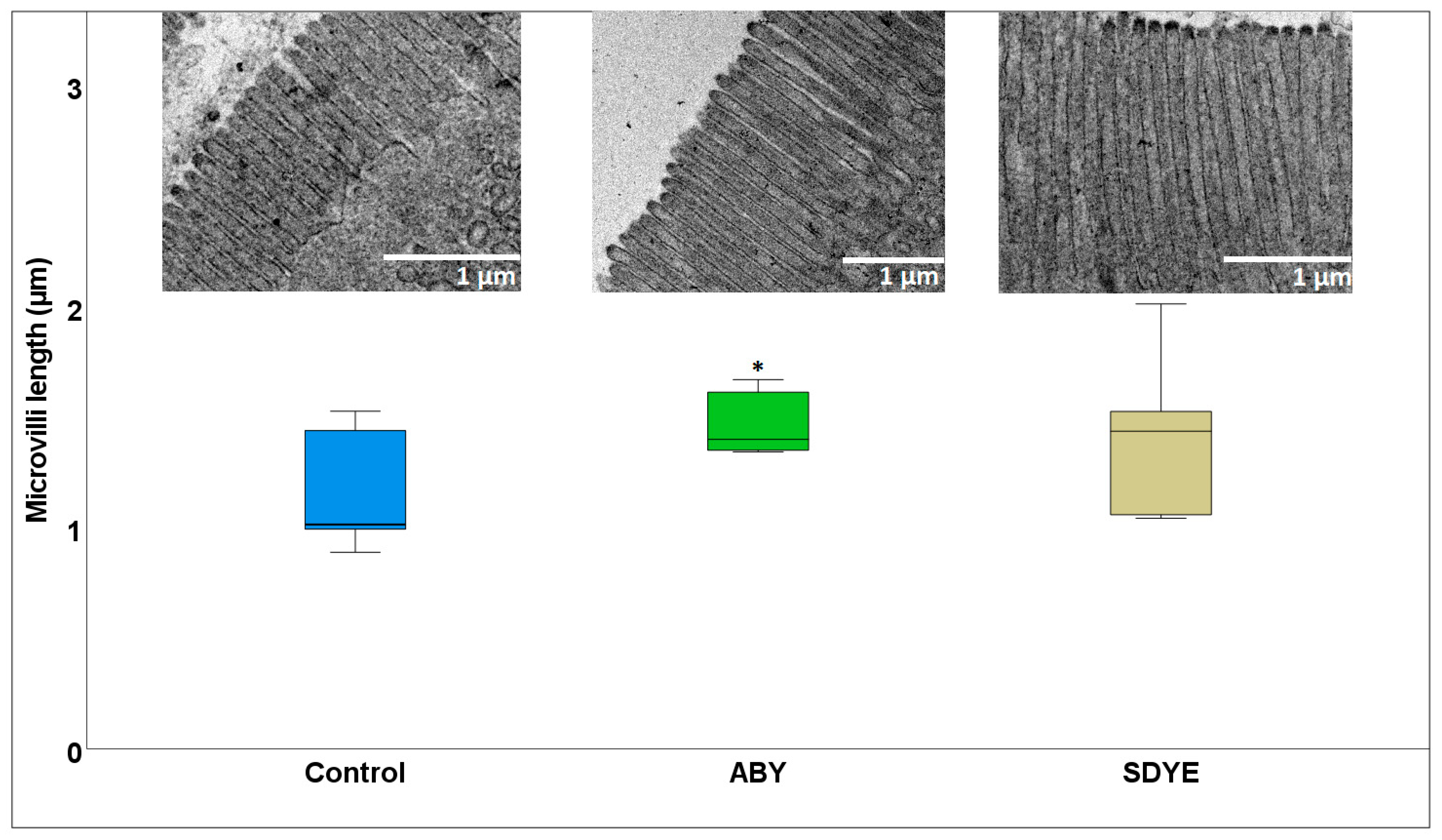 Animals 15 00323 g004