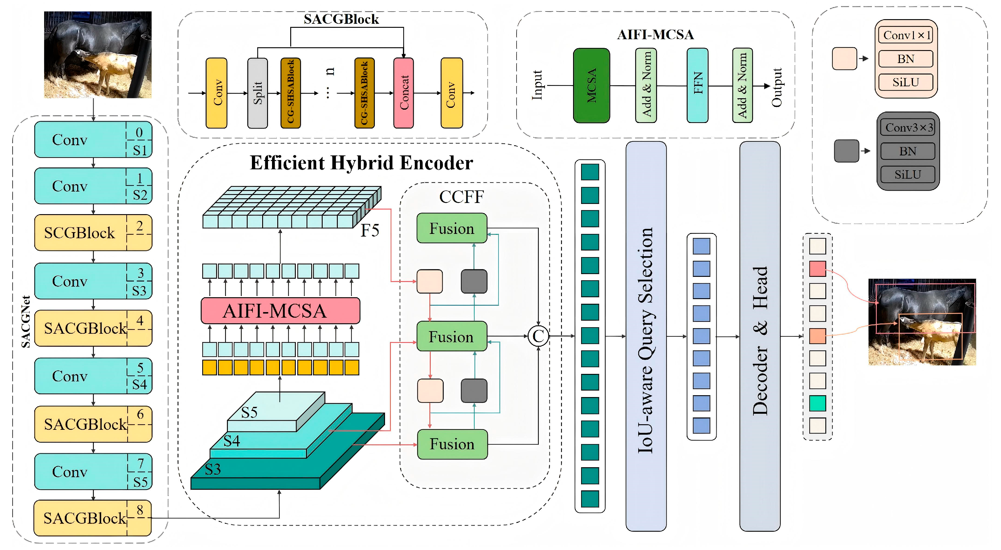 Animals 15 00340 g002