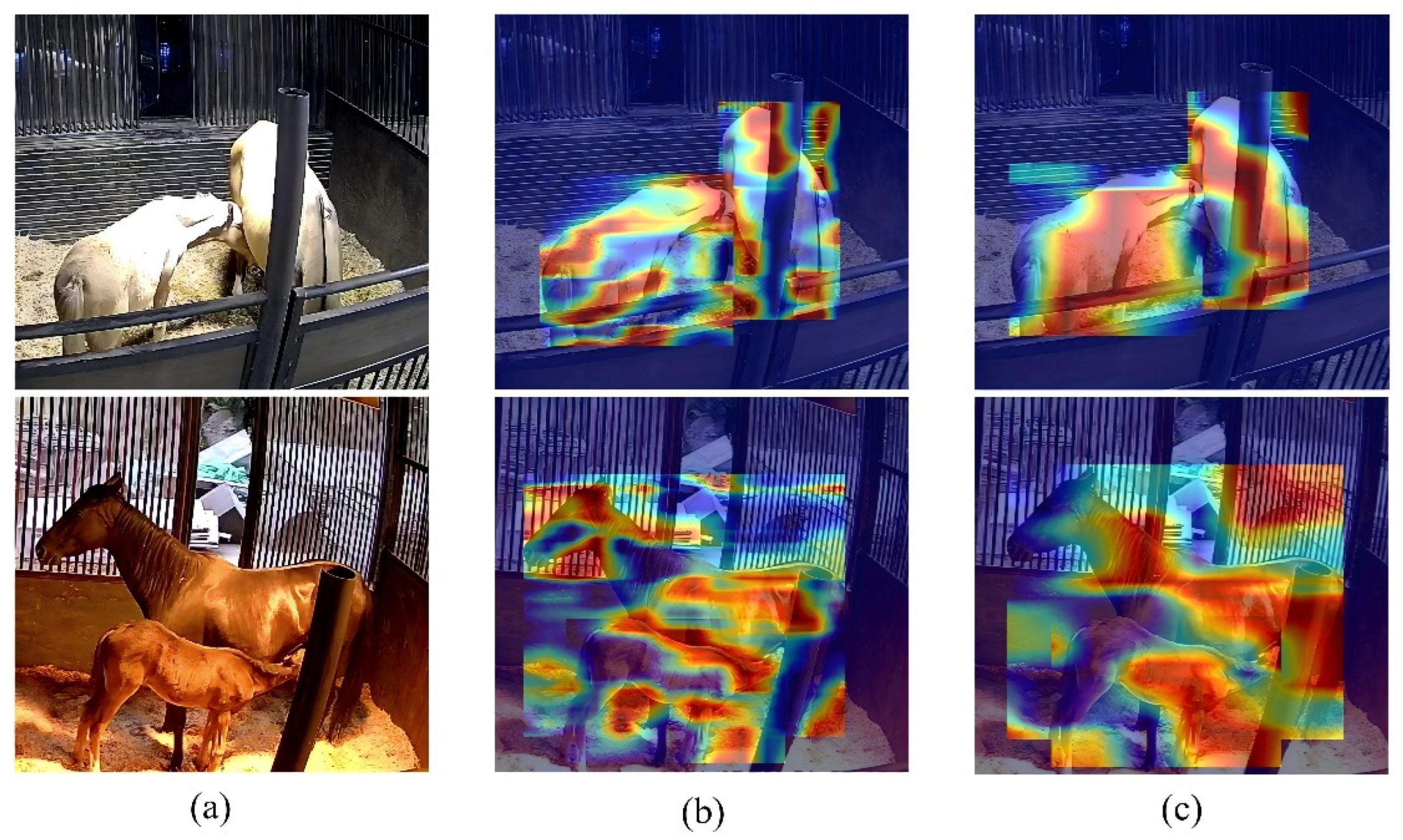 Animals 15 00340 g006