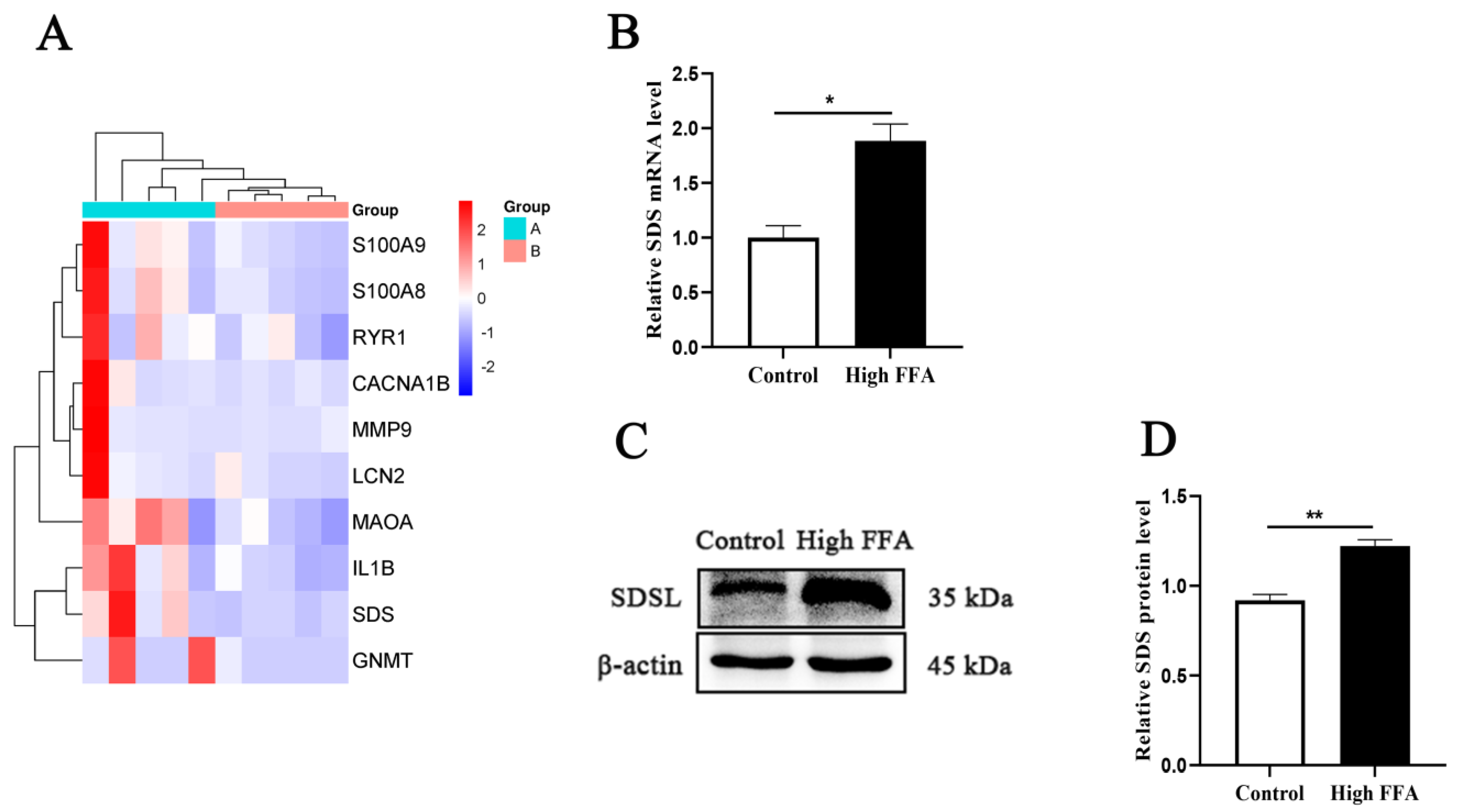Animals 15 00388 g002
