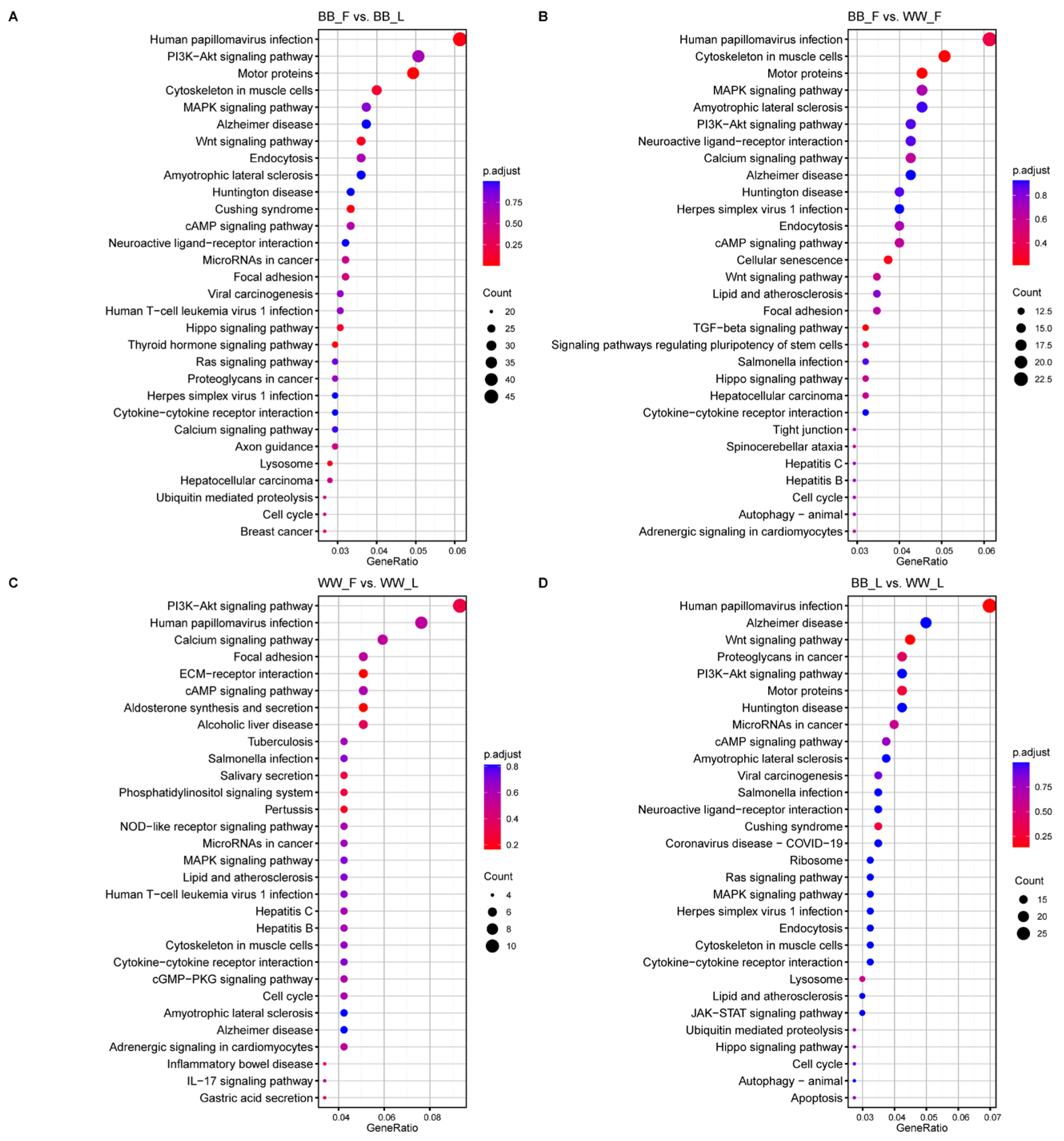 Animals 15 00392 g005